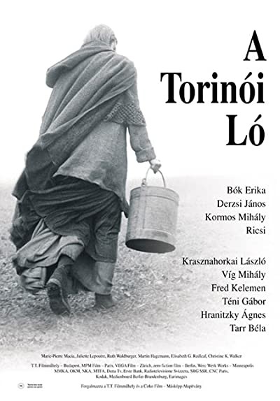 Torino Atı, Film