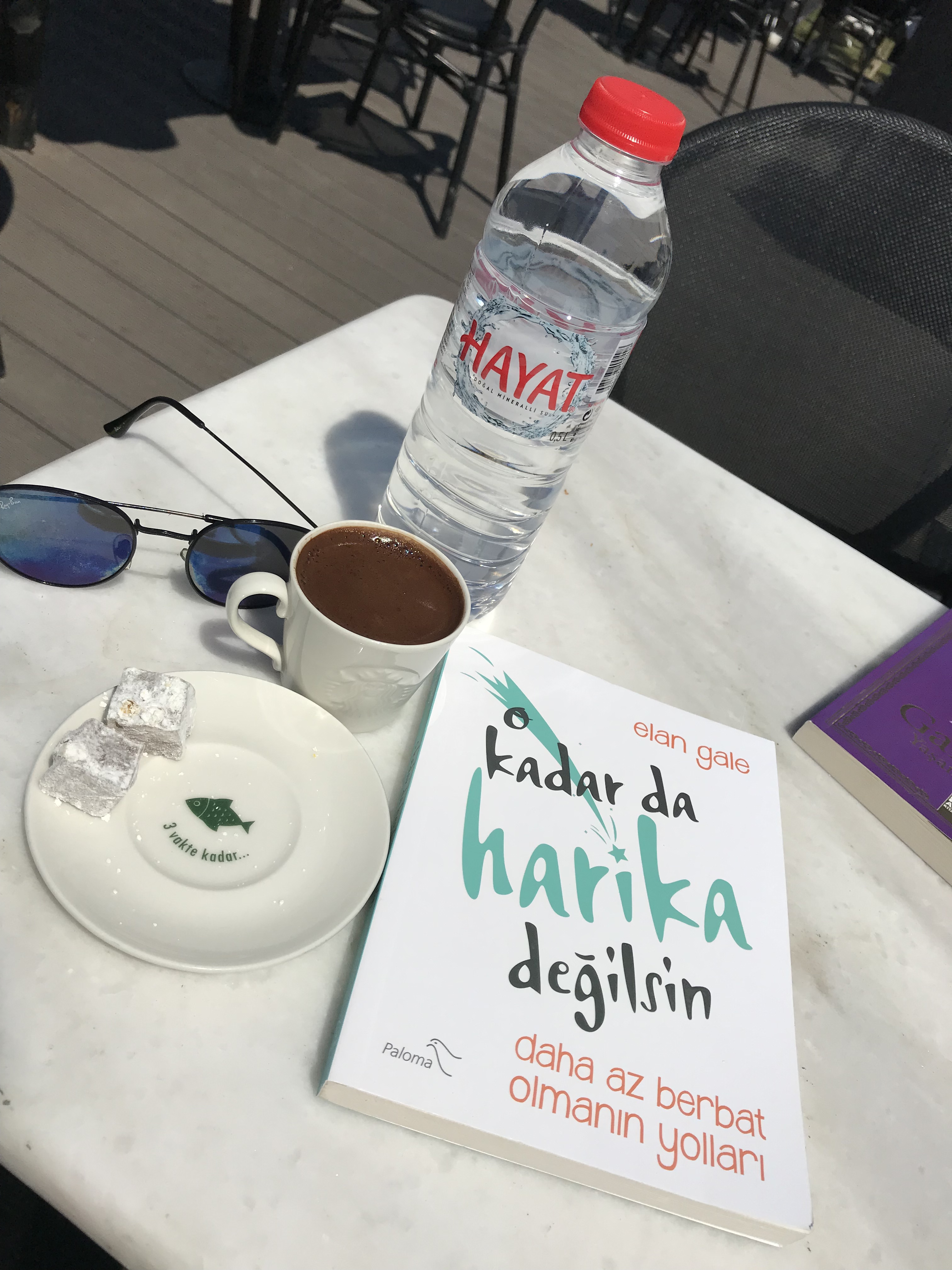 O Kadar Da Harika Değilsin, Elan&nbsp;Gale