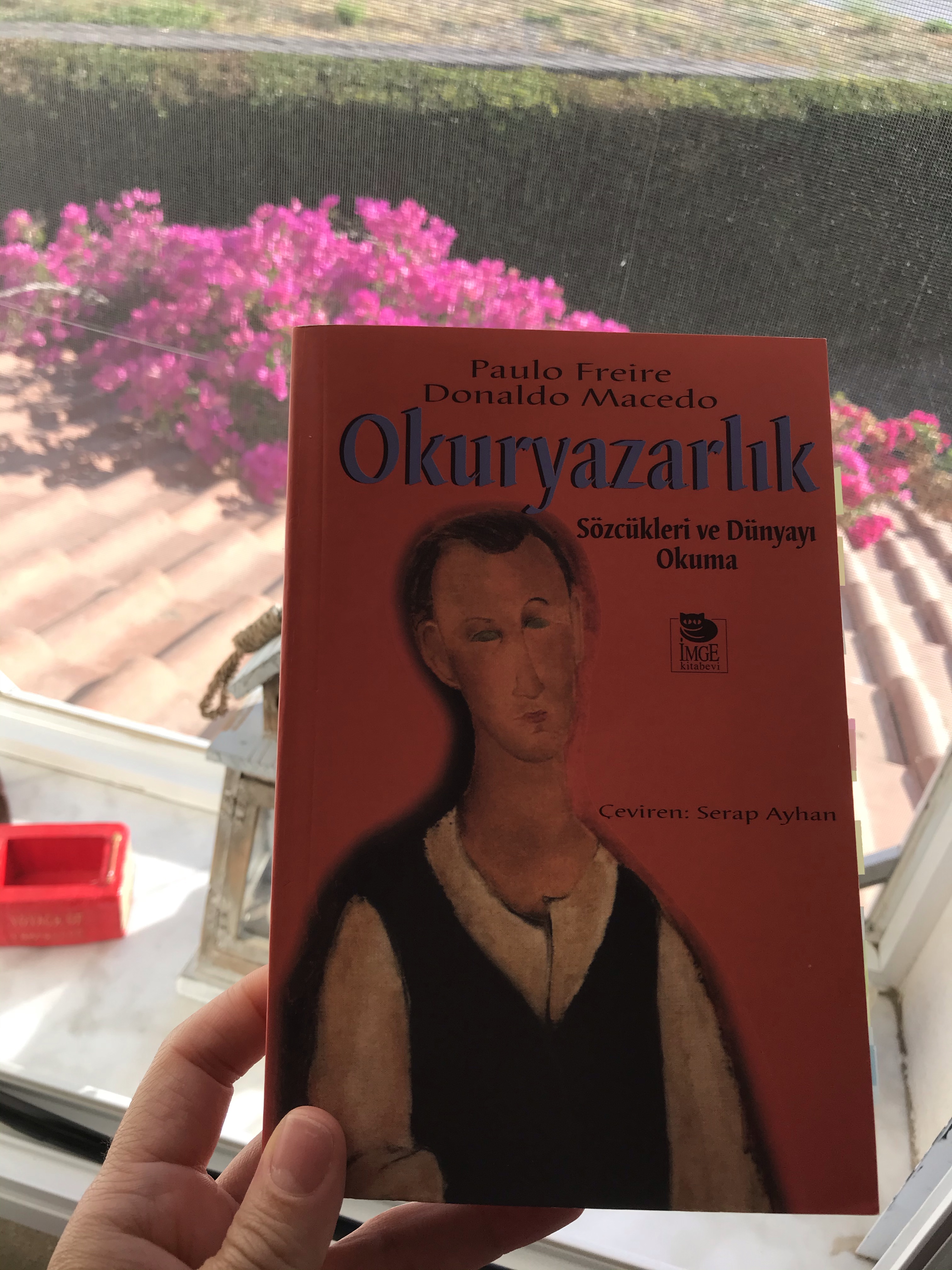 Okuryazarlık, Paulo Freire, Donaldo&nbsp;Macedonia