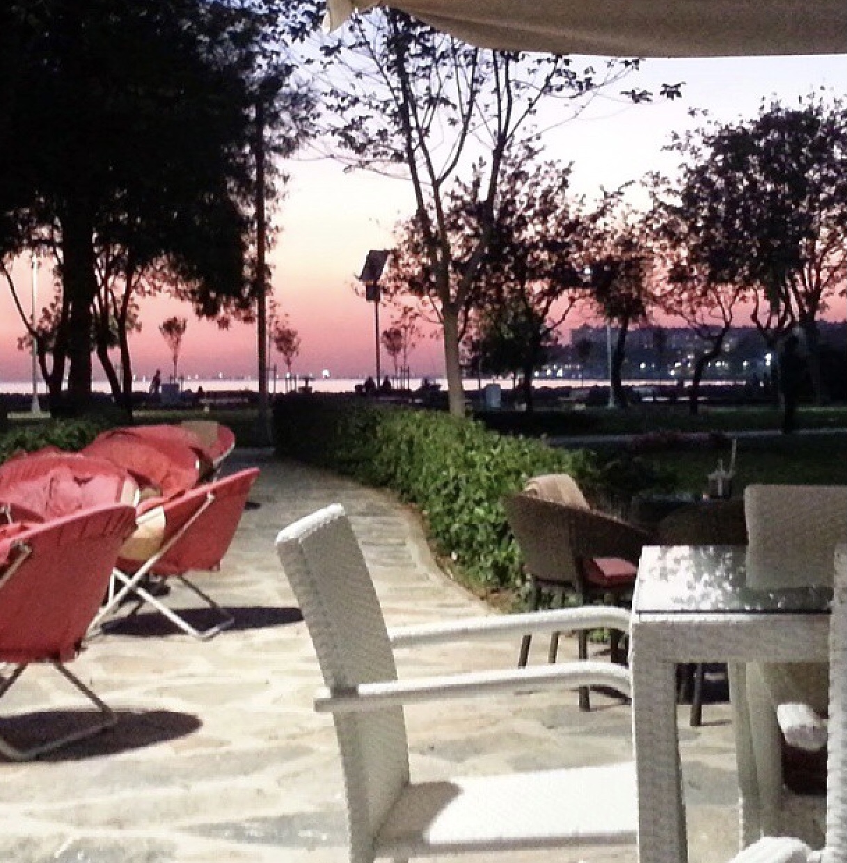 Hayat Kısa, Kuşlar Uçuyor: İstanbul’da Bir Dostluk&nbsp;Molası