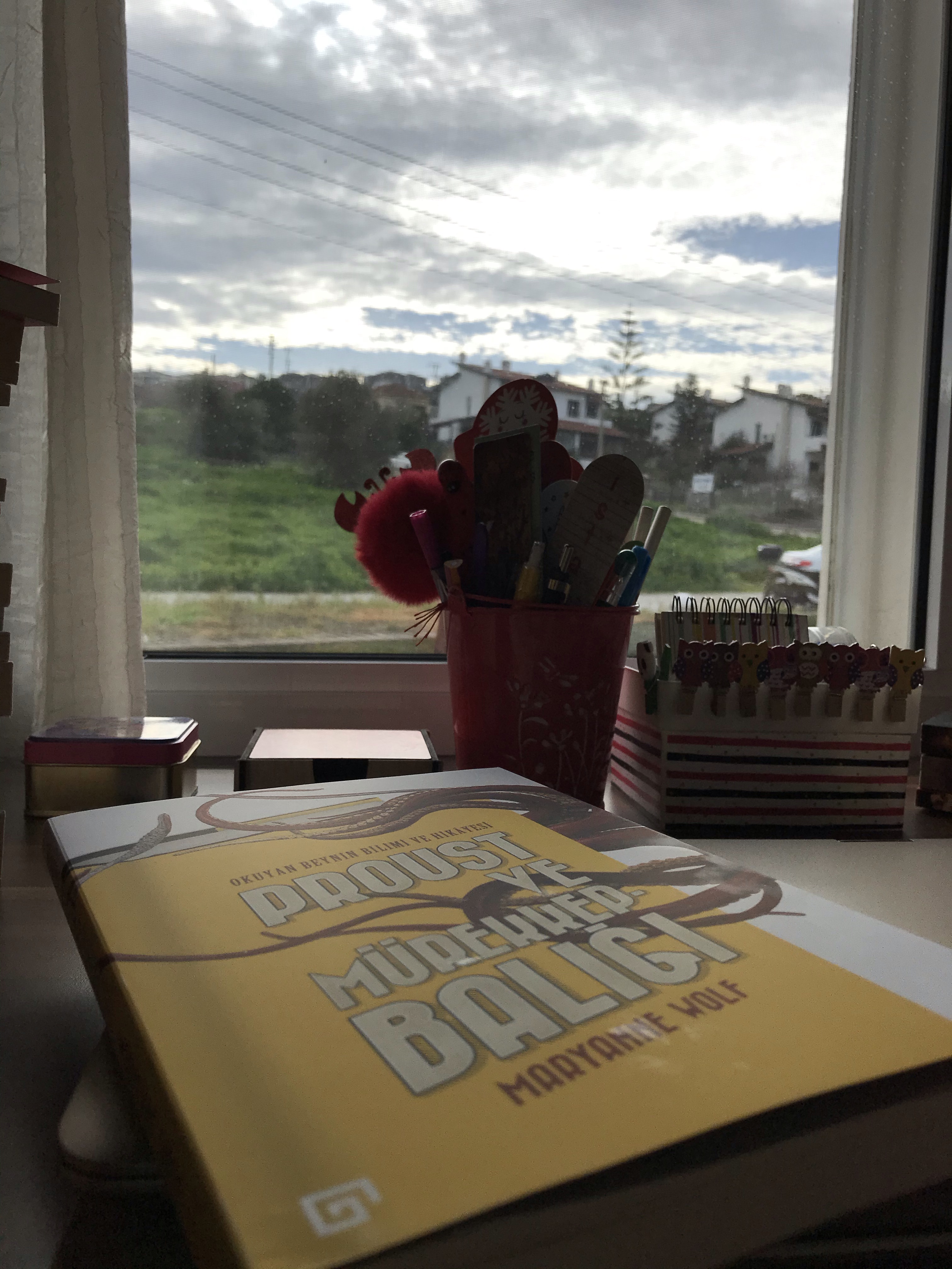 Okuyan Beynin Bilimi ve Hikayesi, Maryanna&nbsp;Woolf