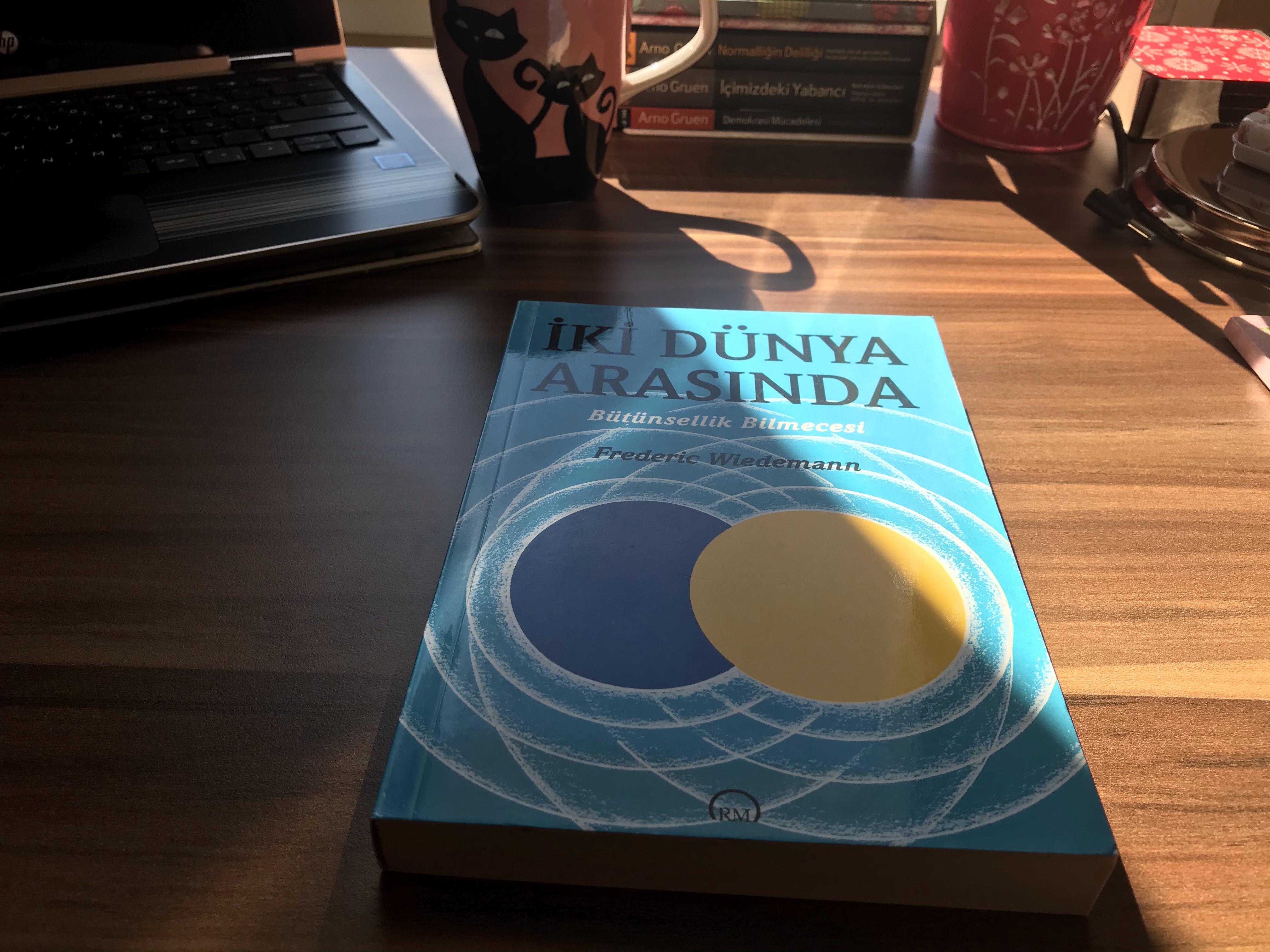 İki Dünya Arasında Bütünsellik Bilmecesi, Frederic Wiedemann