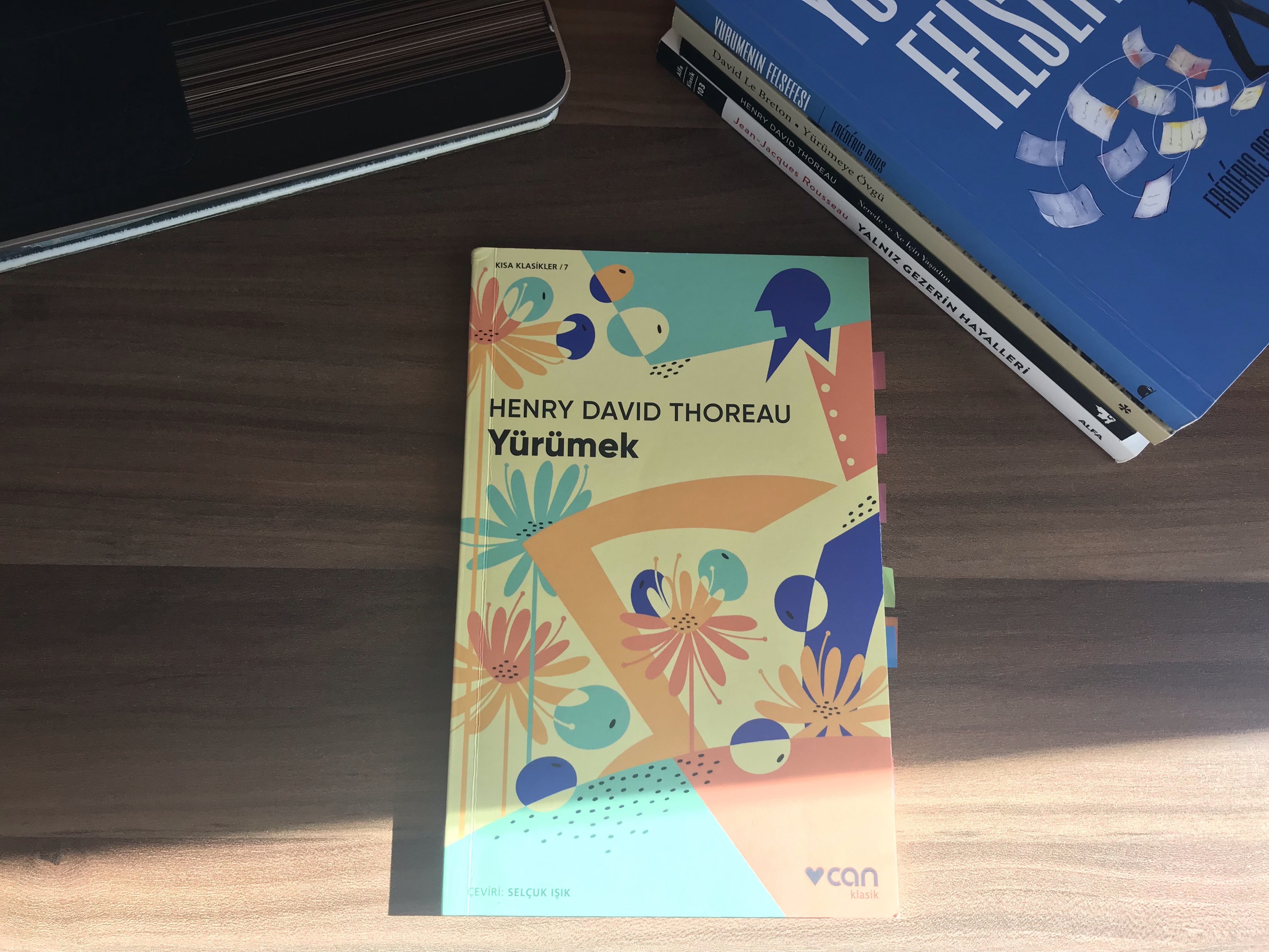 Yürümek, Henry David&nbsp;Thoreau