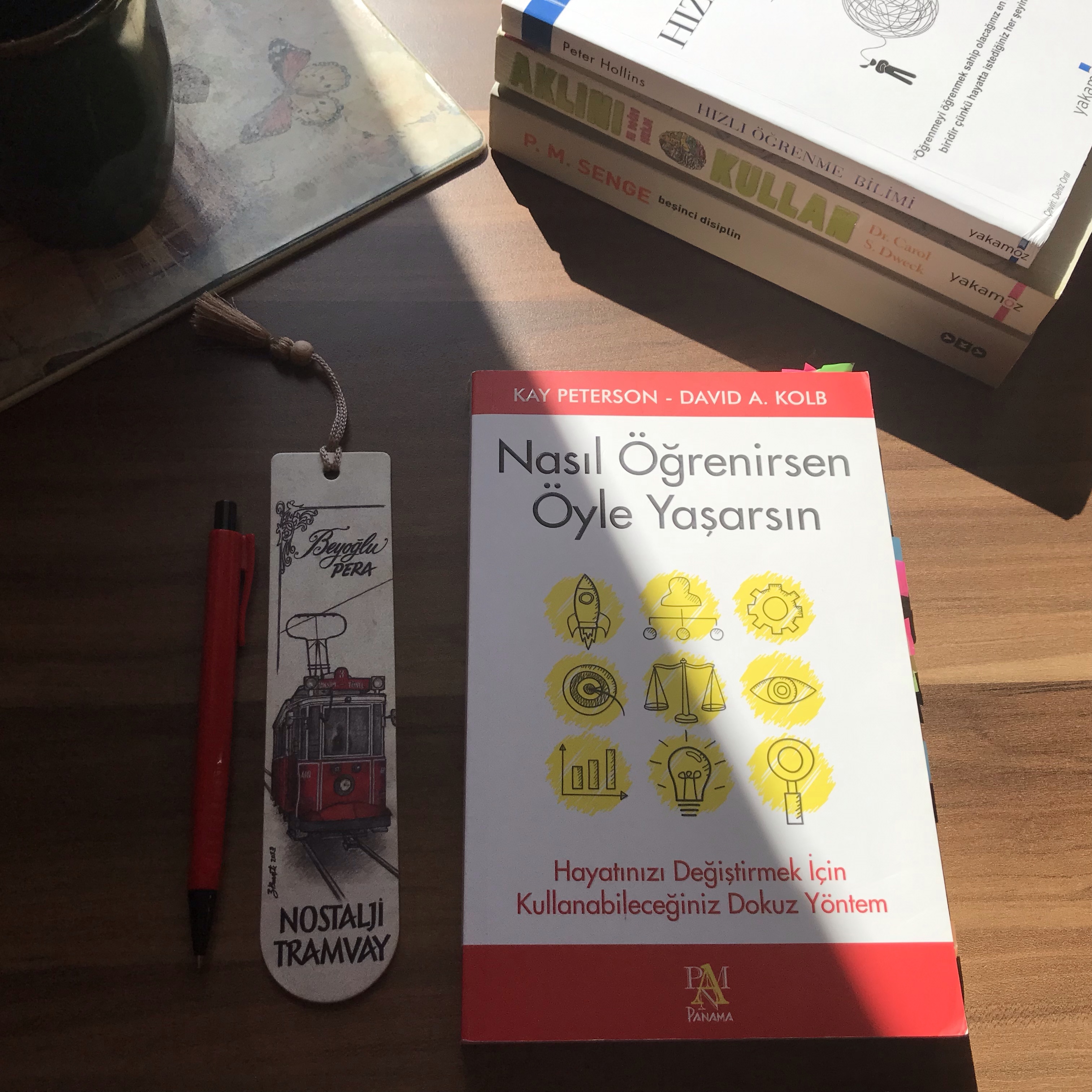Nasıl Öğrenirsen Öyle Yaşarsın, Kay Peterson, David A.&nbsp;Kolb