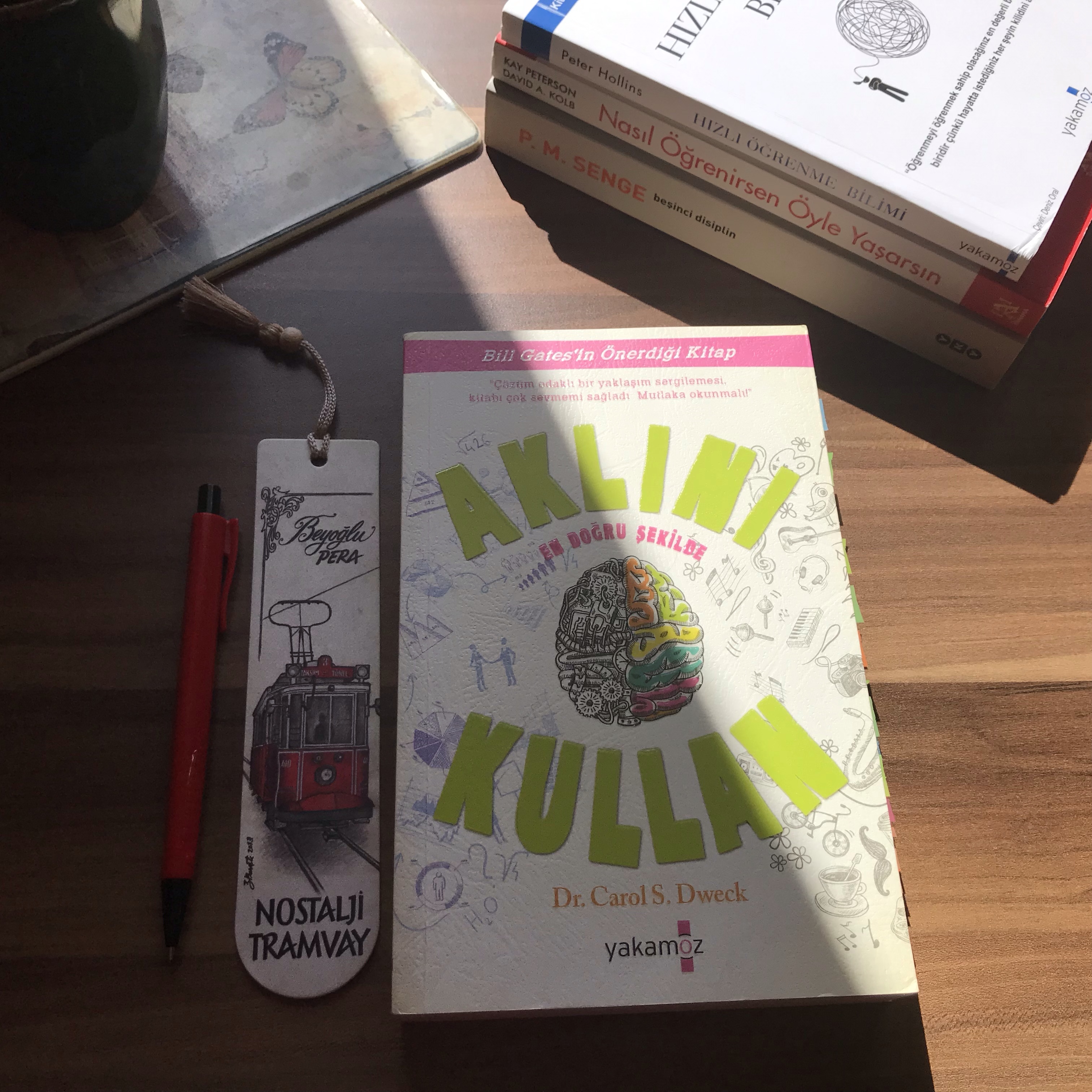 Aklını En Doğru Şekilde Kullan, Dr. Carol S.&nbsp;Dweck