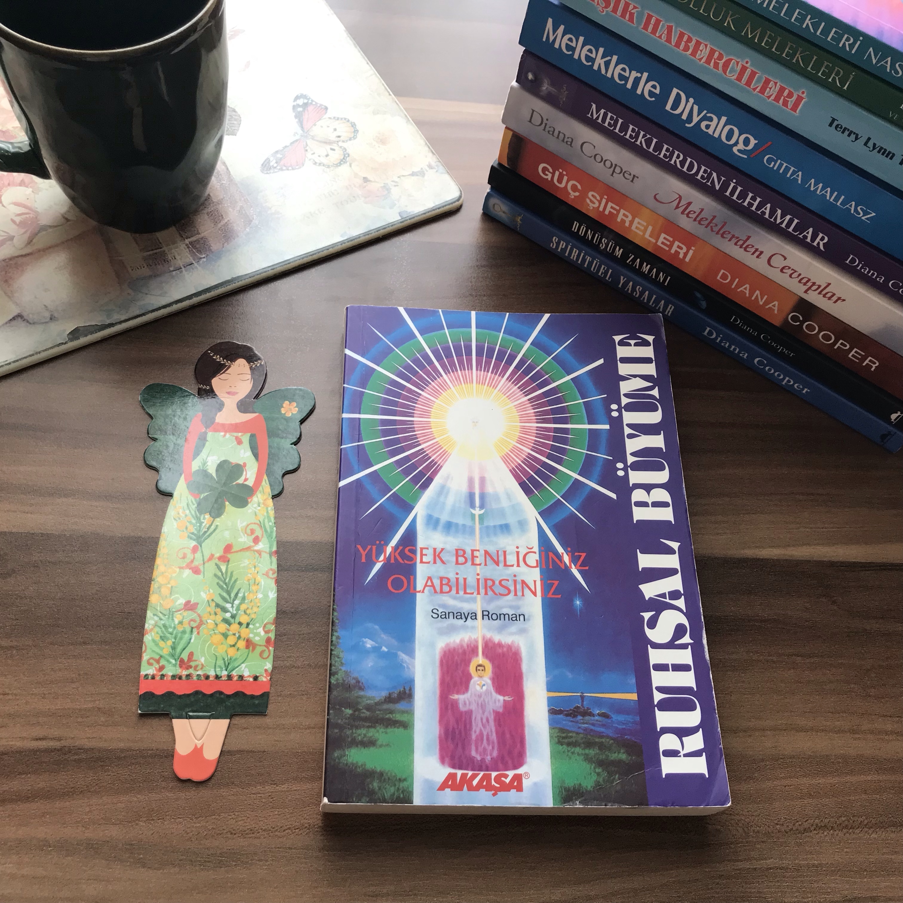 Ruhsal Büyüme, Sanaya&nbsp;Roman