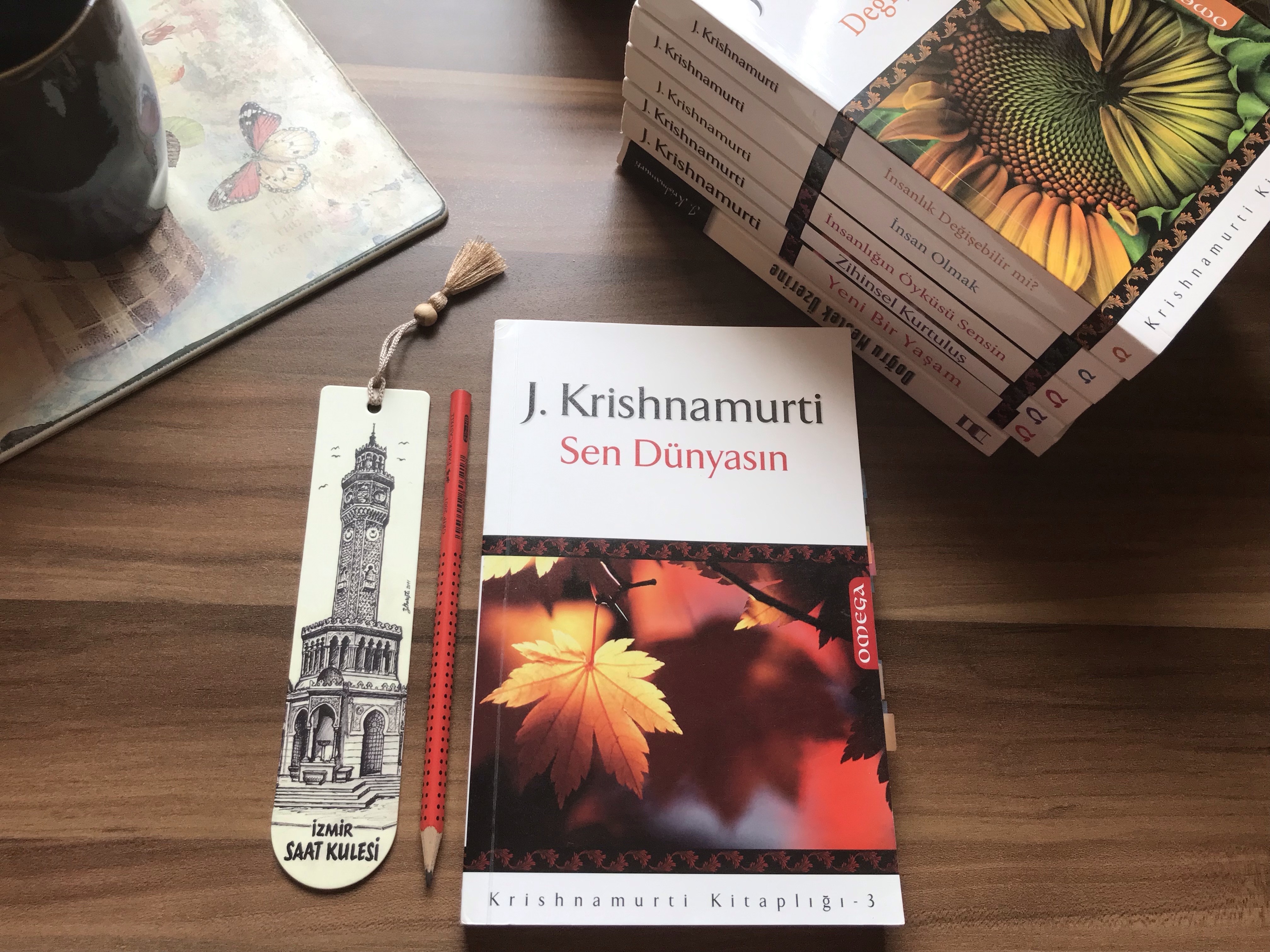 Sen Dünyasın, Jiddu&nbsp;Krishnamurti