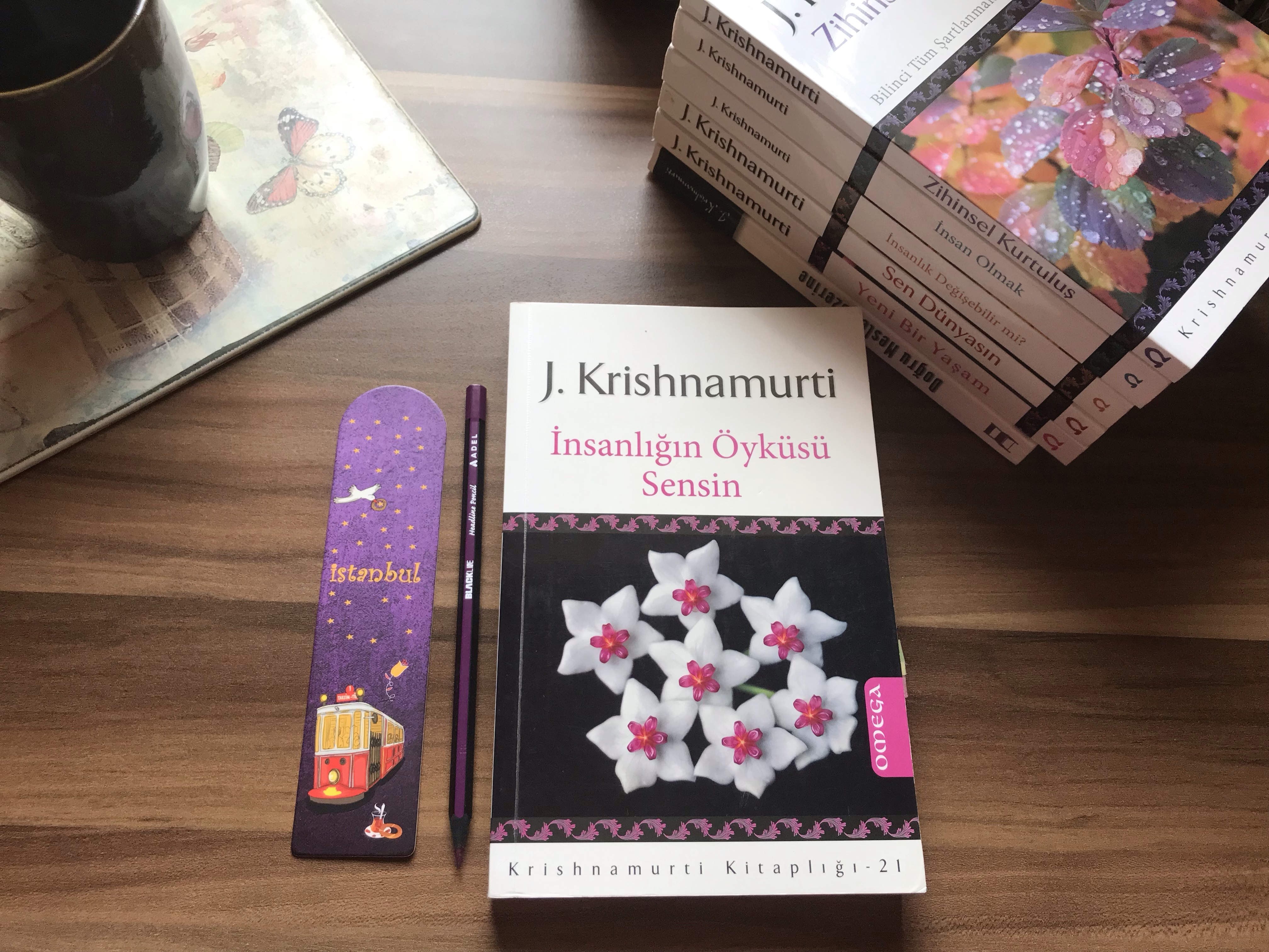 İnsanlığın Öyküsü Sensin, Jiddu&nbsp;Krishnamurti