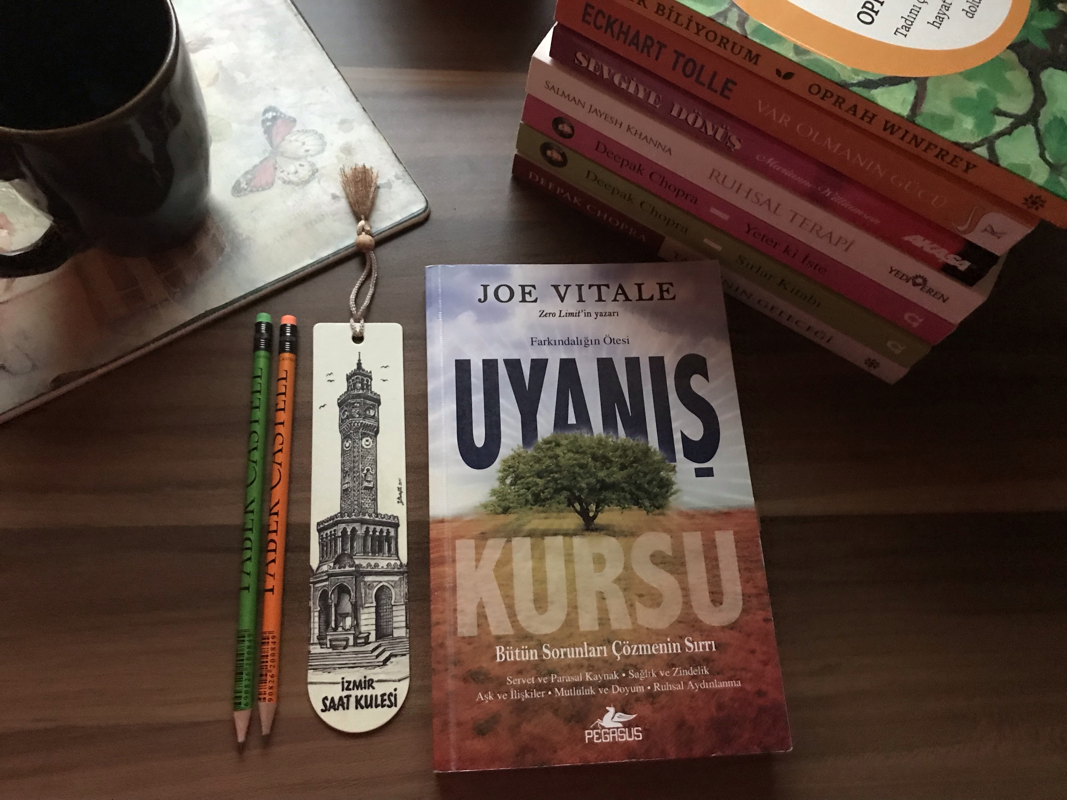 Uyanış Kursu, Joe&nbsp;Vitale