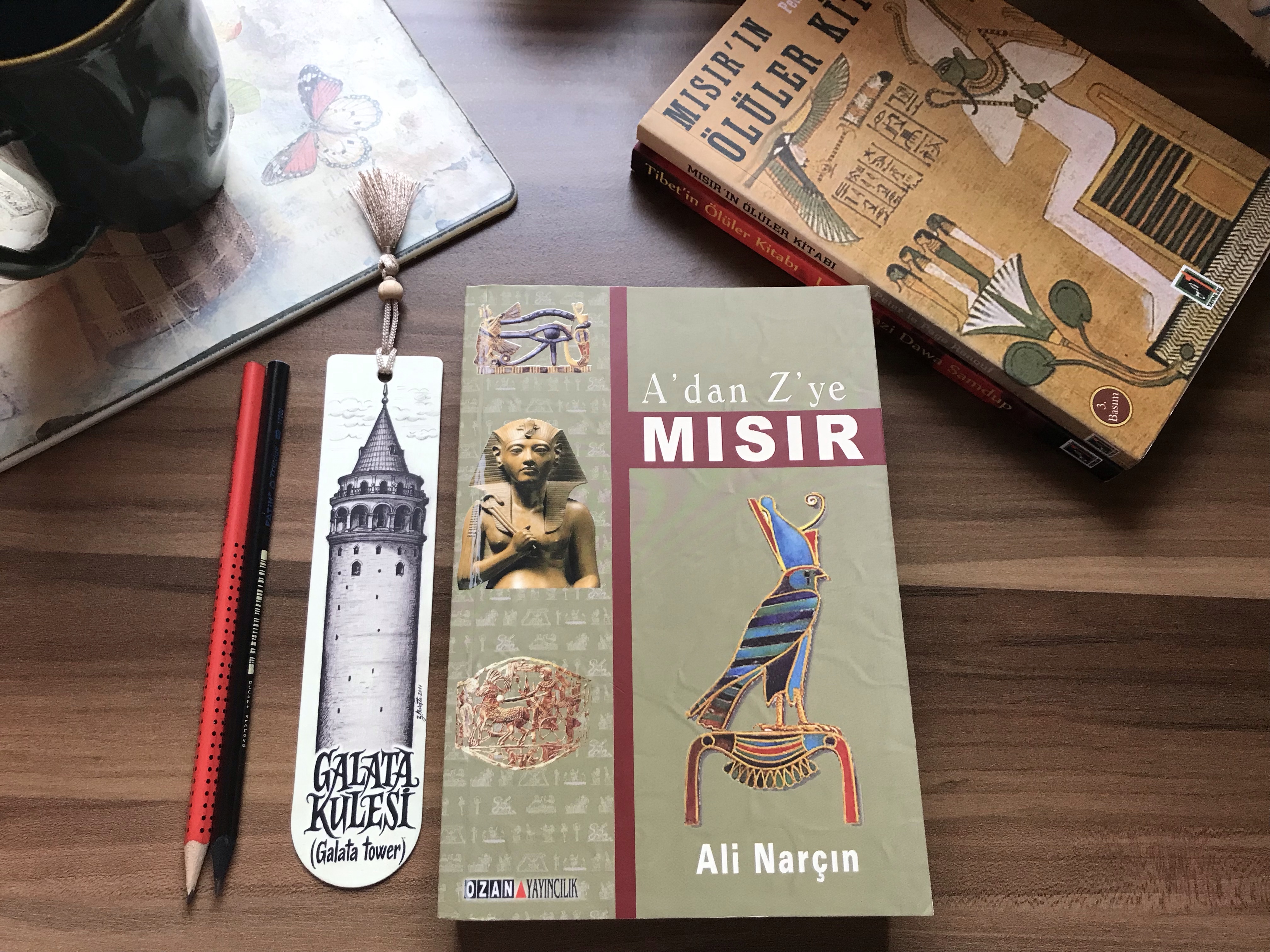 A’dan Z’ye Mısır, Ali&nbsp;Narçın