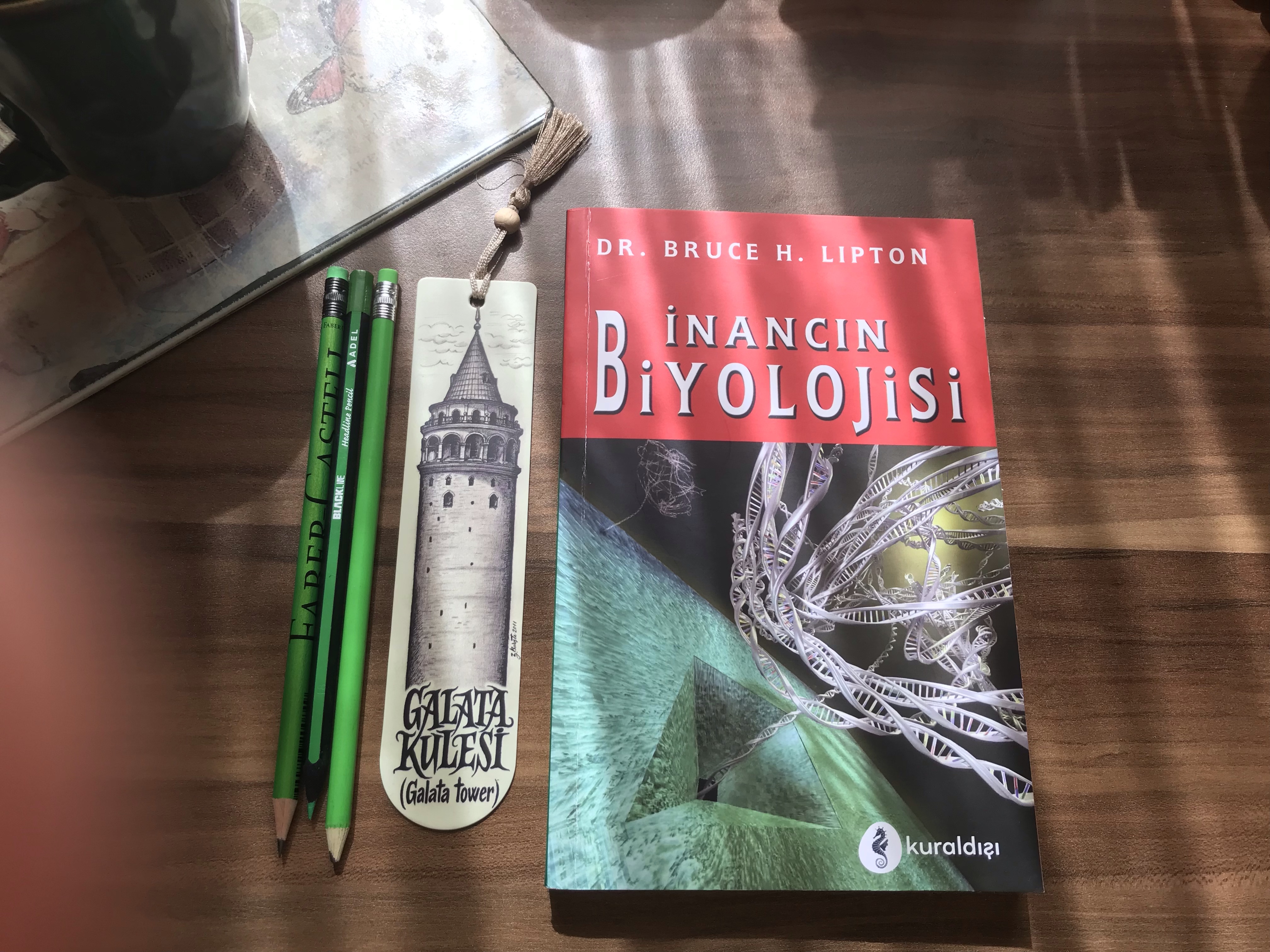 İnancın Biyolojisi, Dr.Bruce&nbsp;H.Lipton