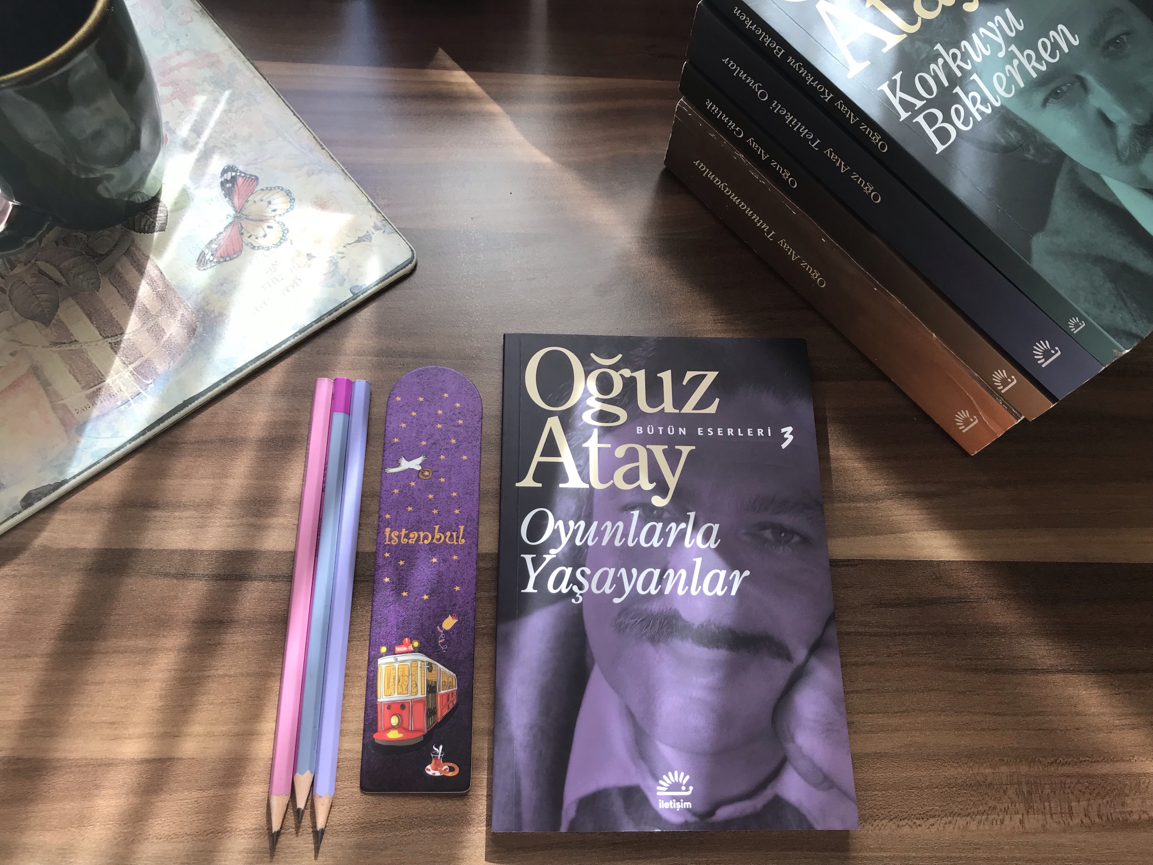 Oyunlarla Yaşayanlar, Oğuz&nbsp;Atay