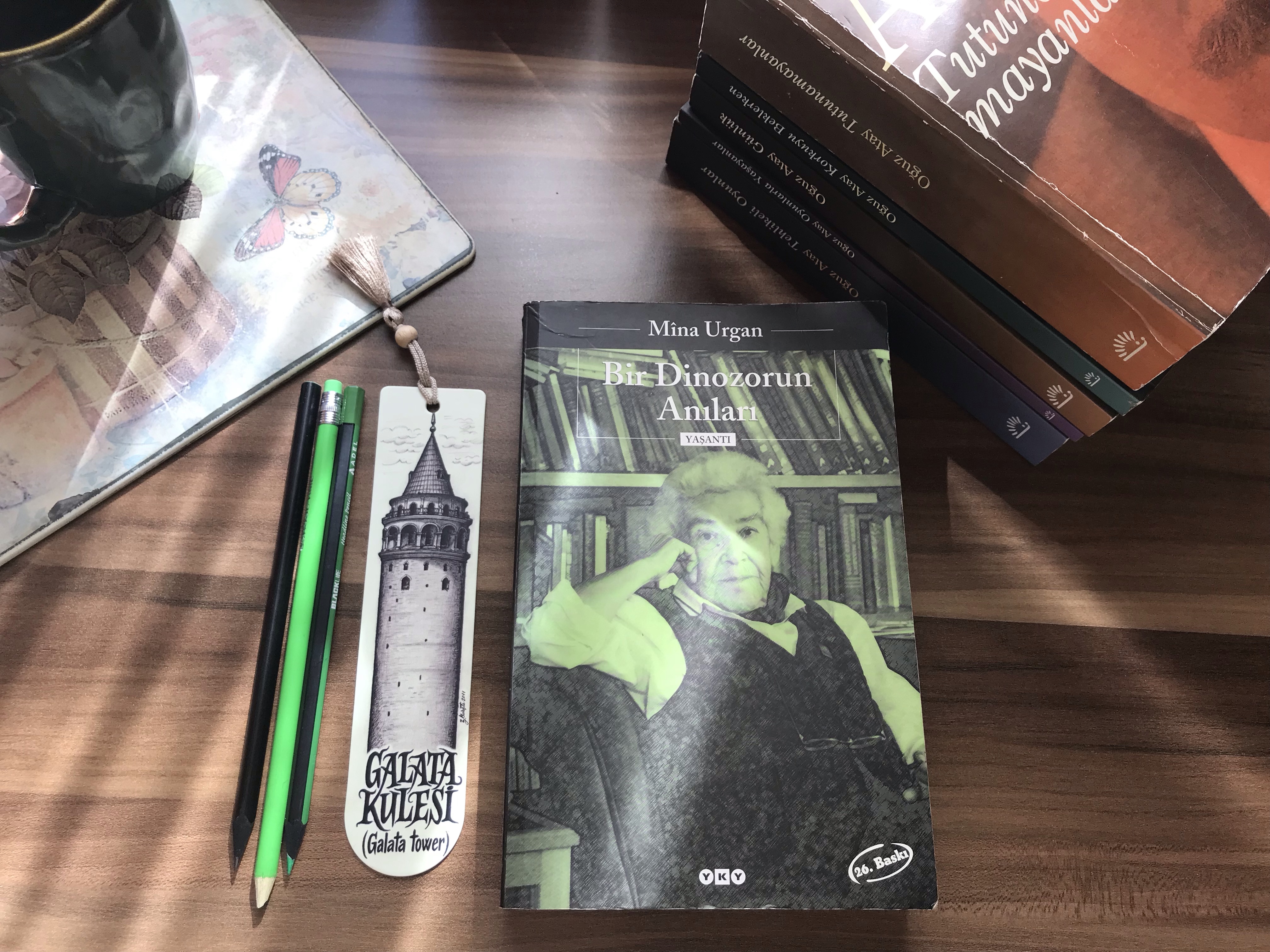 Bir Dinozorun Anıları, Mina&nbsp;Urgan