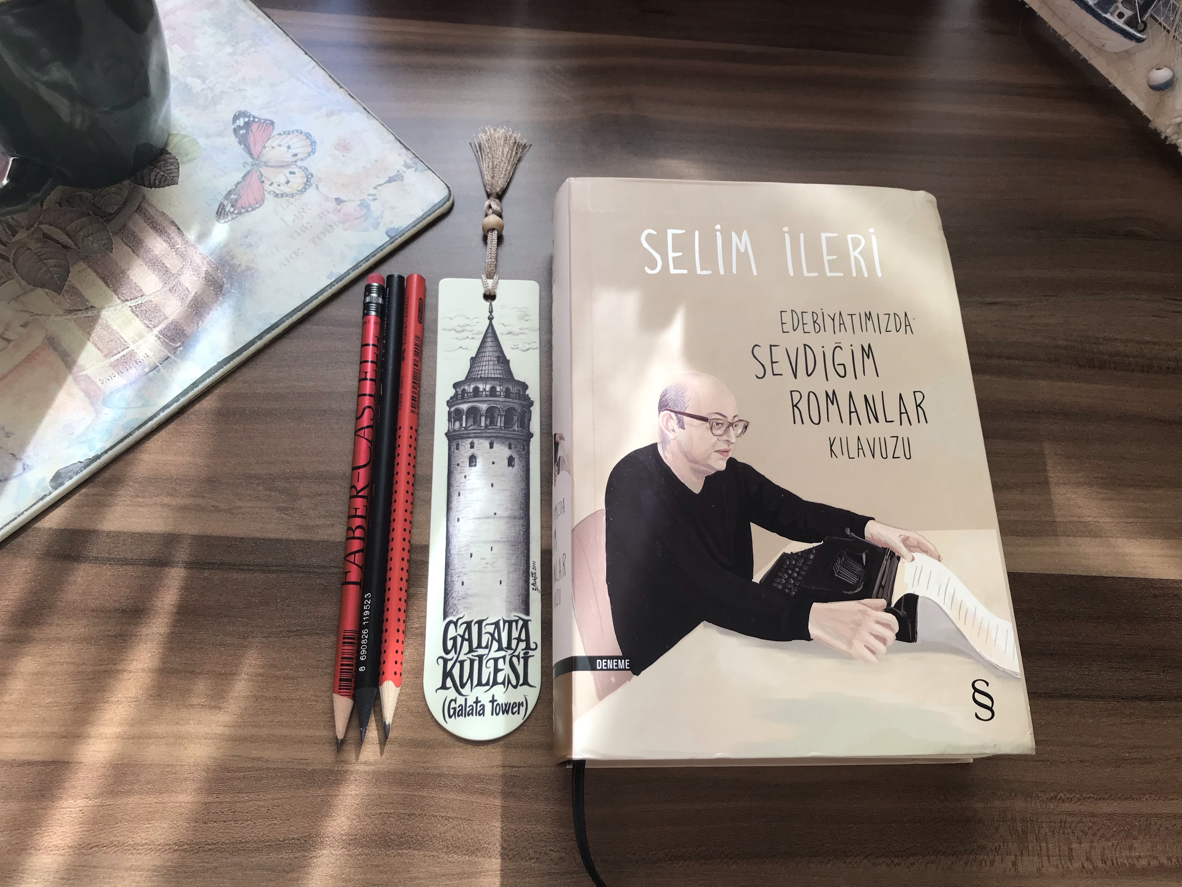 Edebiyatımızda En Sevdiğim Romanlar Kılavuzu, Selim&nbsp;İleri