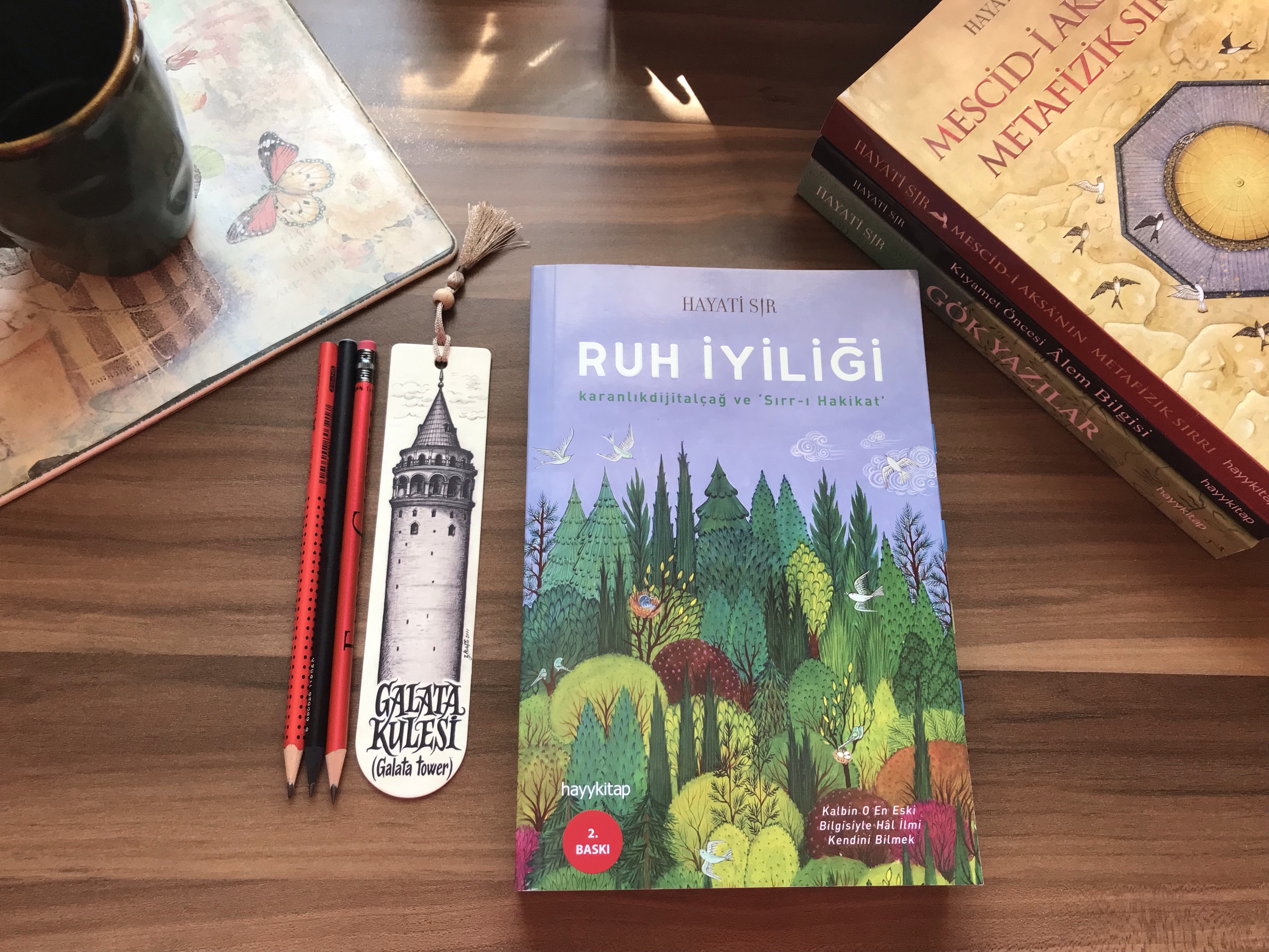 Ruh İyiliği, Hayati&nbsp;Sır