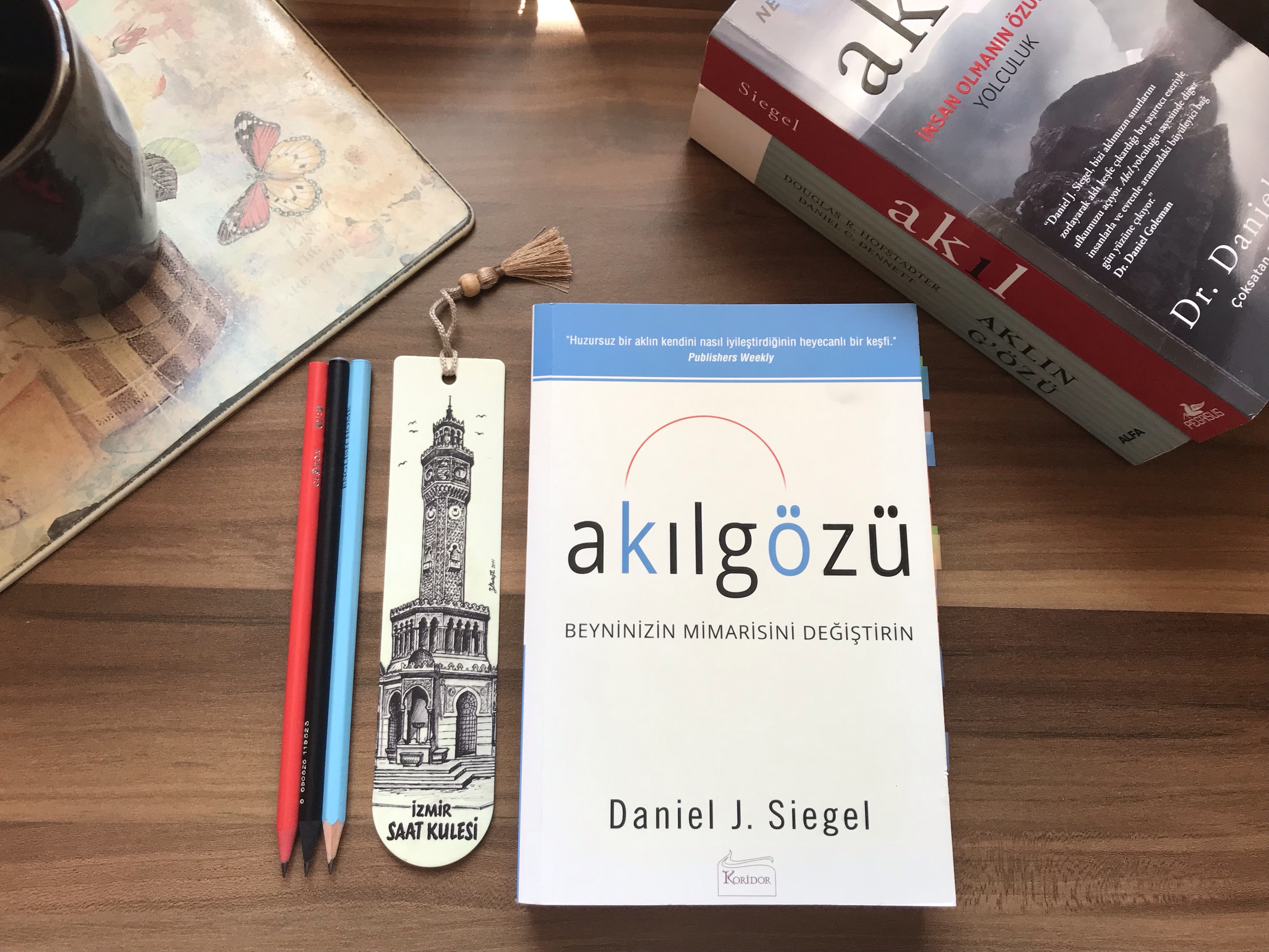 Akılgözü, Daniel J.&nbsp;Siegel