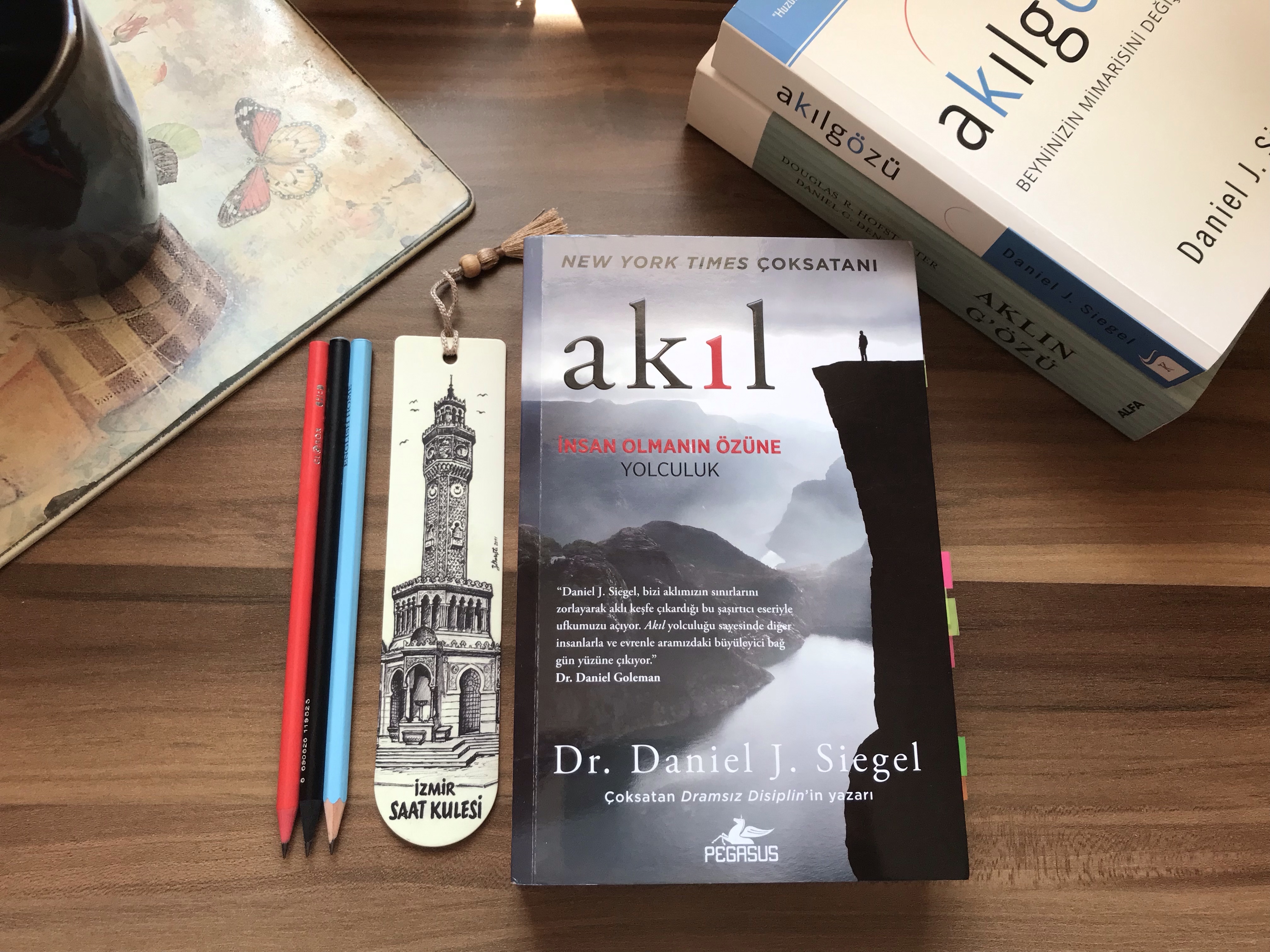 Akıl, İnsan Olmanın Özüne Yolculuk, Daniel&nbsp;J.Siegel