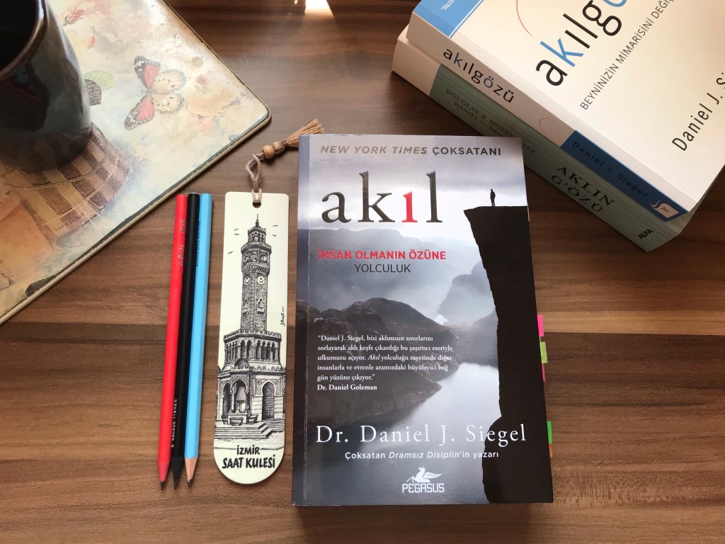Akıl, İnsan Olmanın Özüne Yolculuk, Daniel&nbsp;J.Siegel