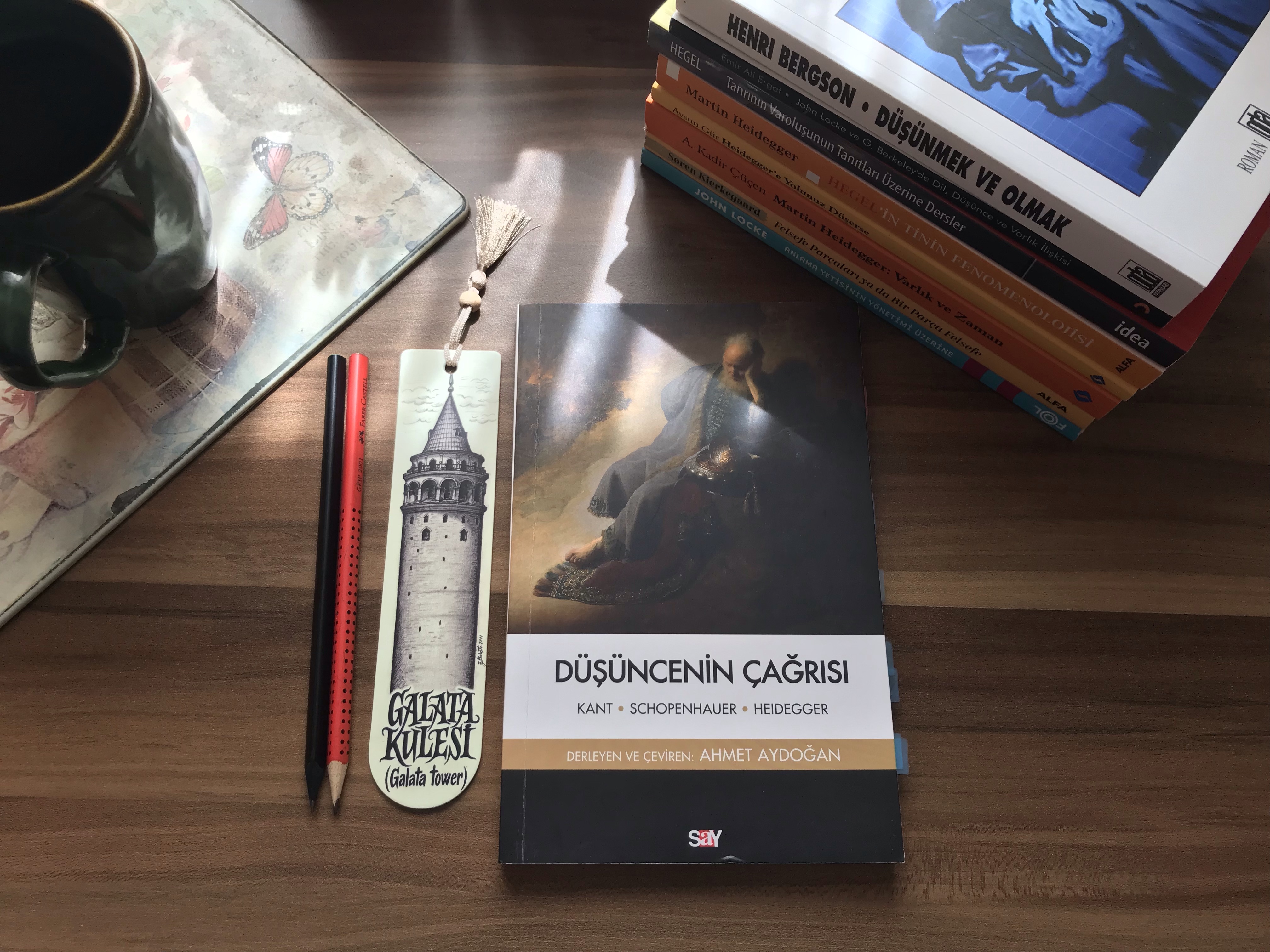 Düşüncenin Çağrısı, Ahmet&nbsp;Aydoğan