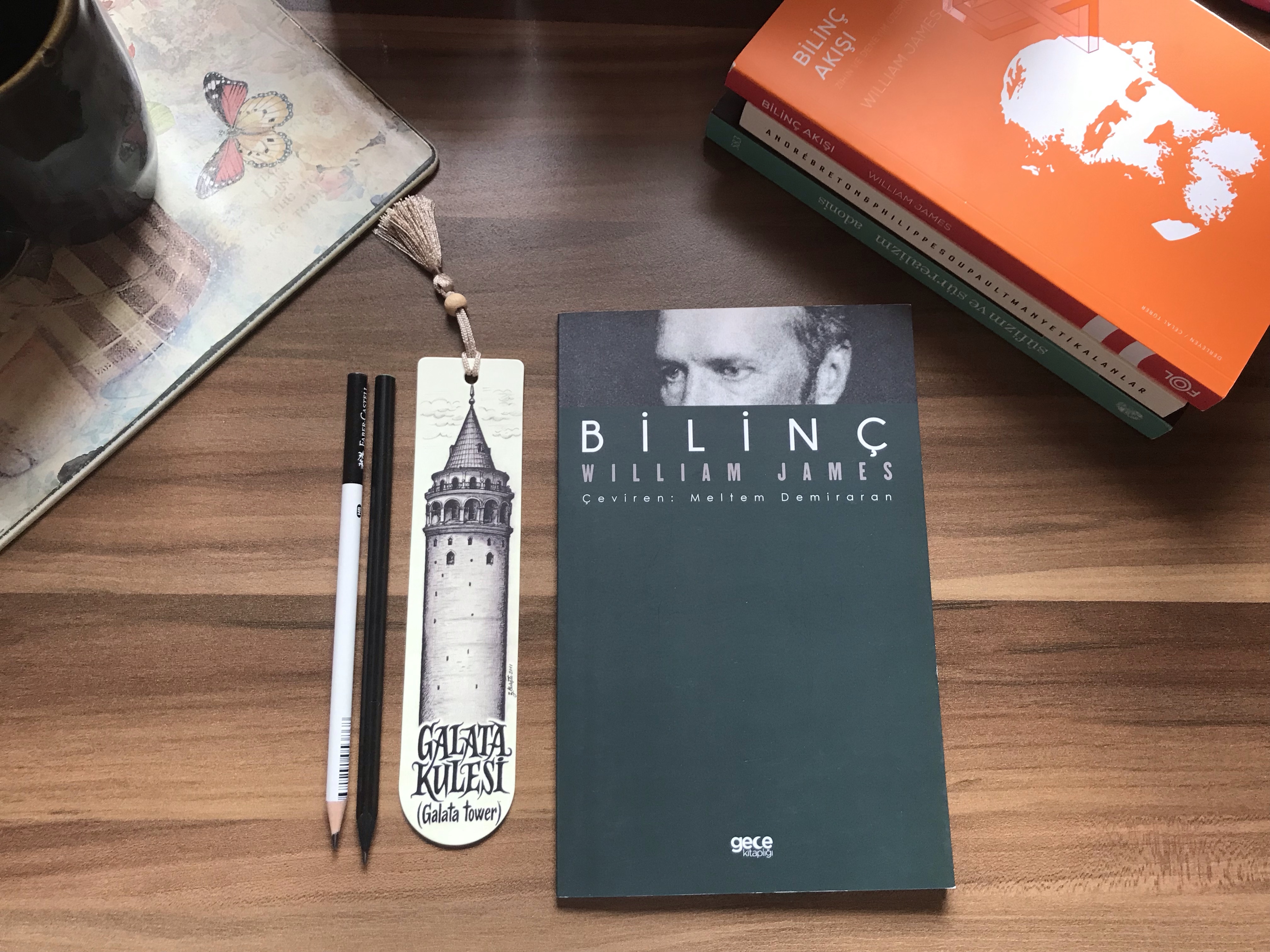Bilinç, William James