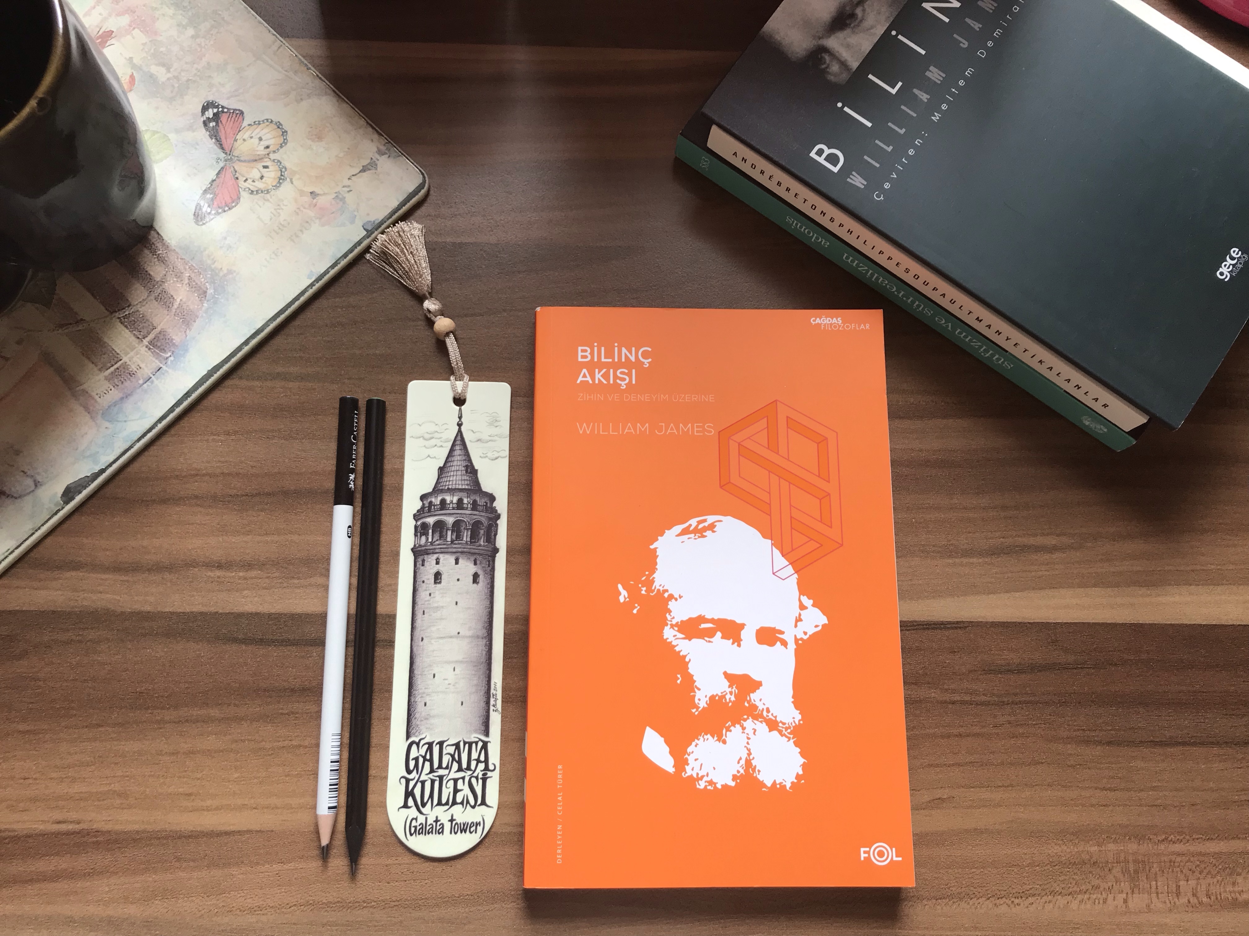 Bilinç Akışı, Zihin ve Deneyim Üzerine, William&nbsp;James