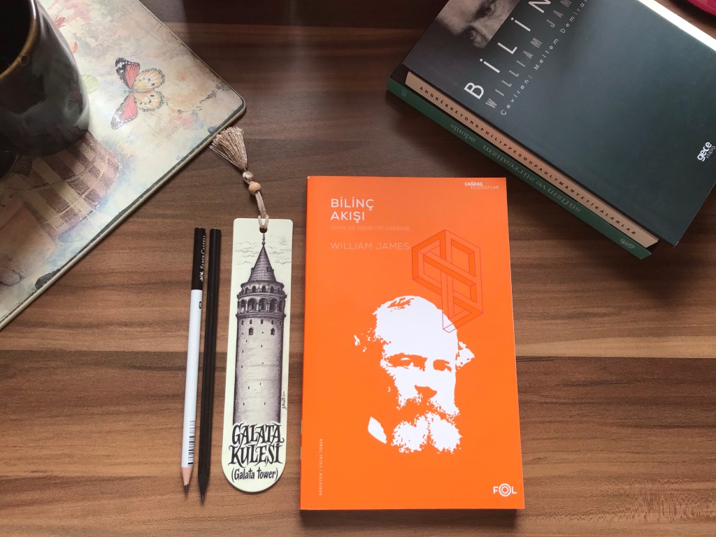 Bilinç Akışı, Zihin ve Deneyim Üzerine, William&nbsp;James