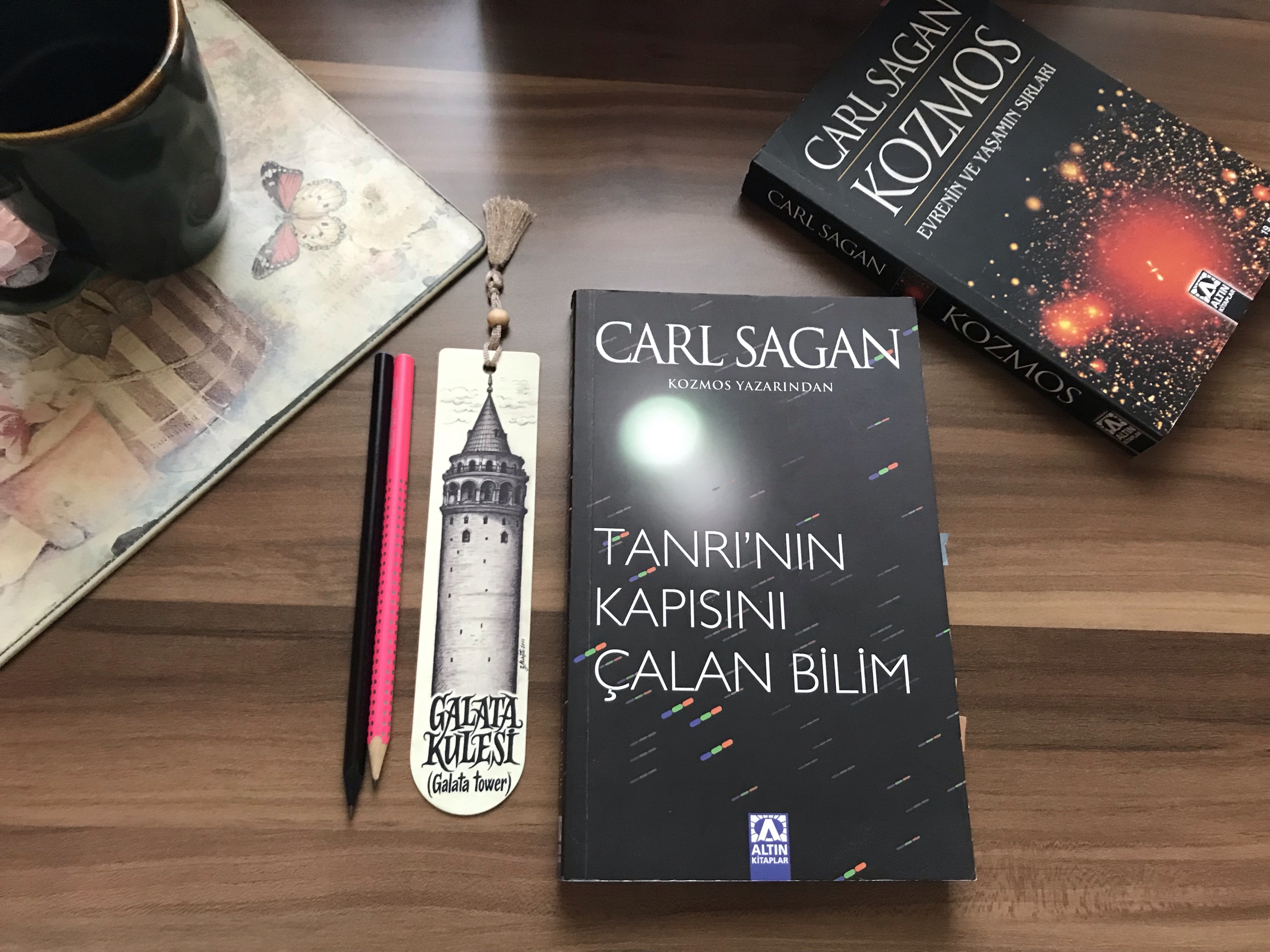 Tanrının Kapısını Çalan Bilim, Carl Sagan