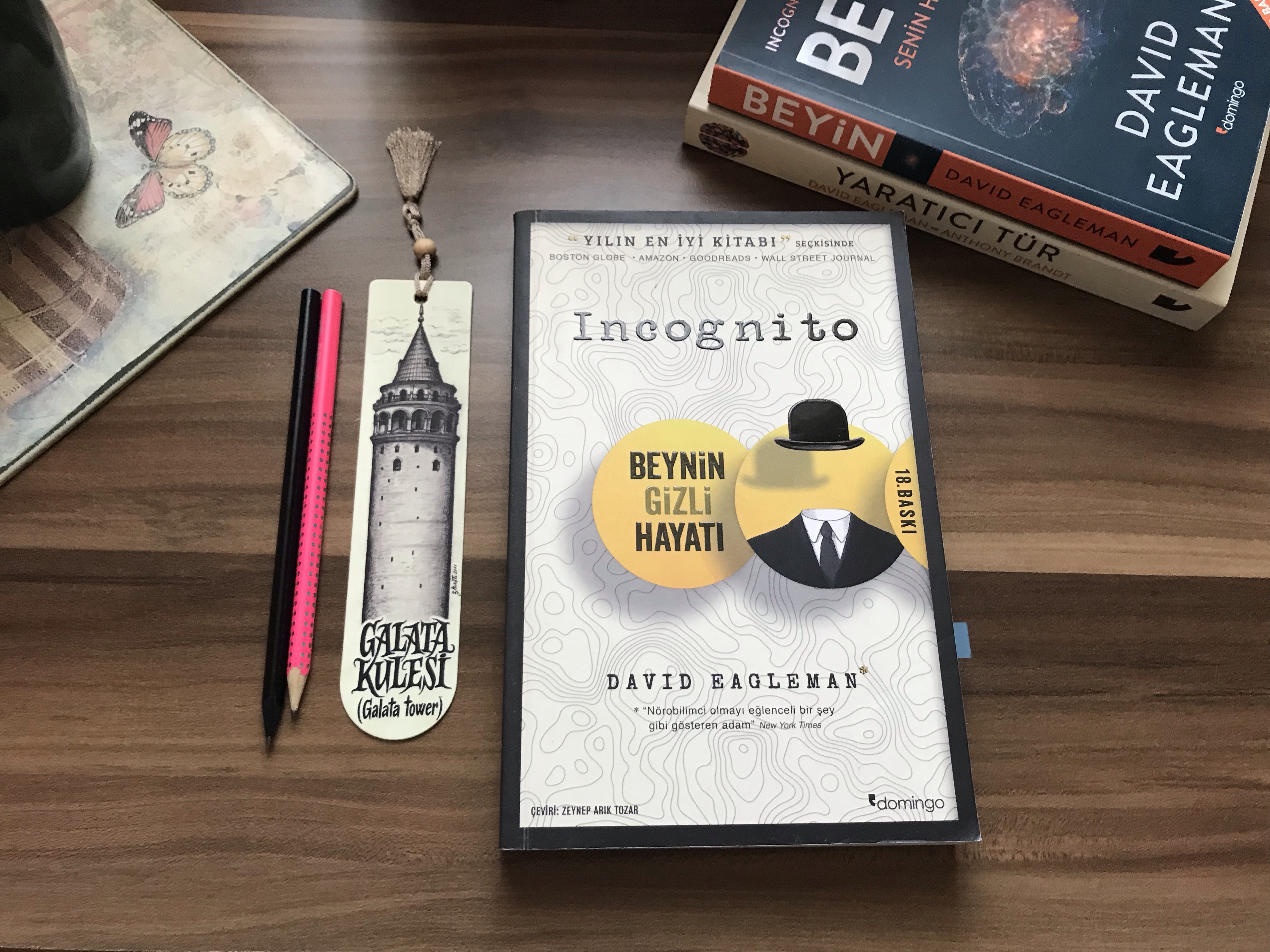 Incognito, David Eagleman