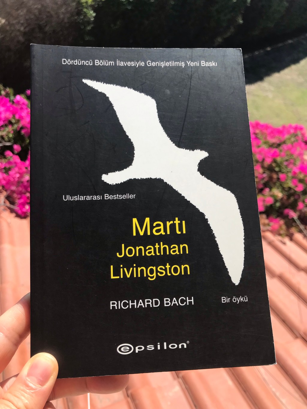 Martı Jonathan Livingston, Richard&nbsp;Bach