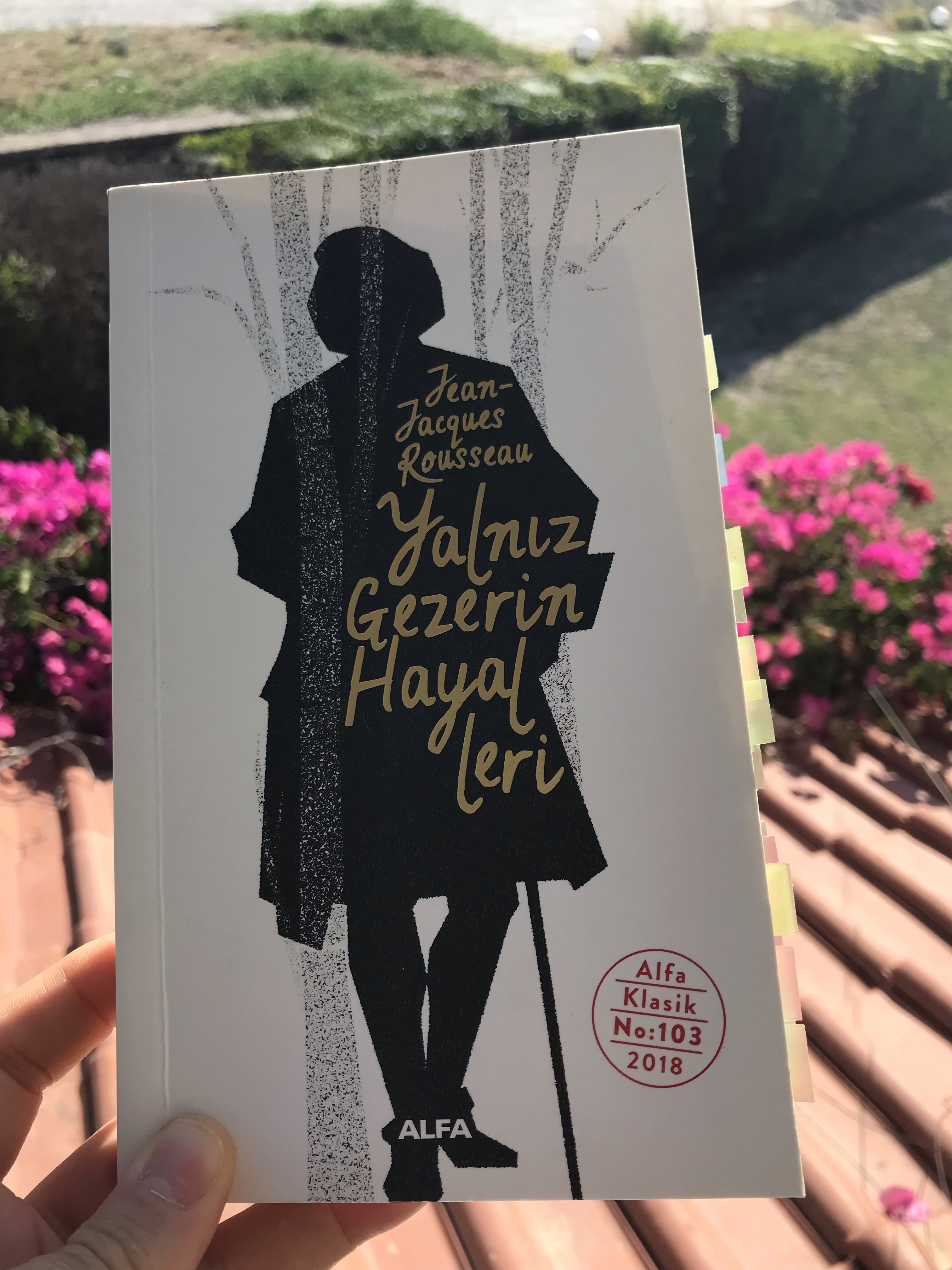 Yalnız Gezerin Hayalleri, Jean Jacques&nbsp;Rousseau