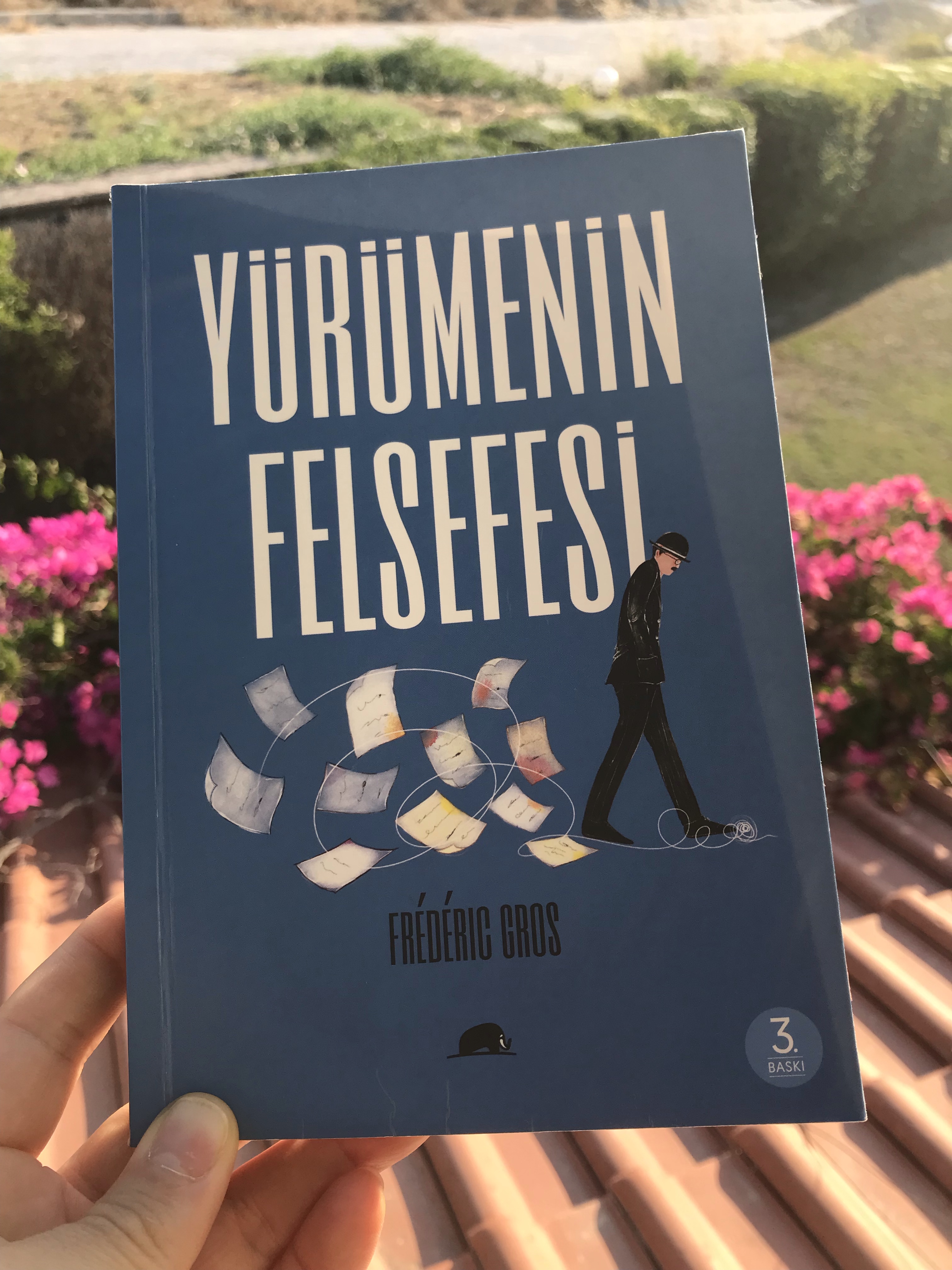 Yürümenin Felsefesi, Frederic&nbsp;Gros