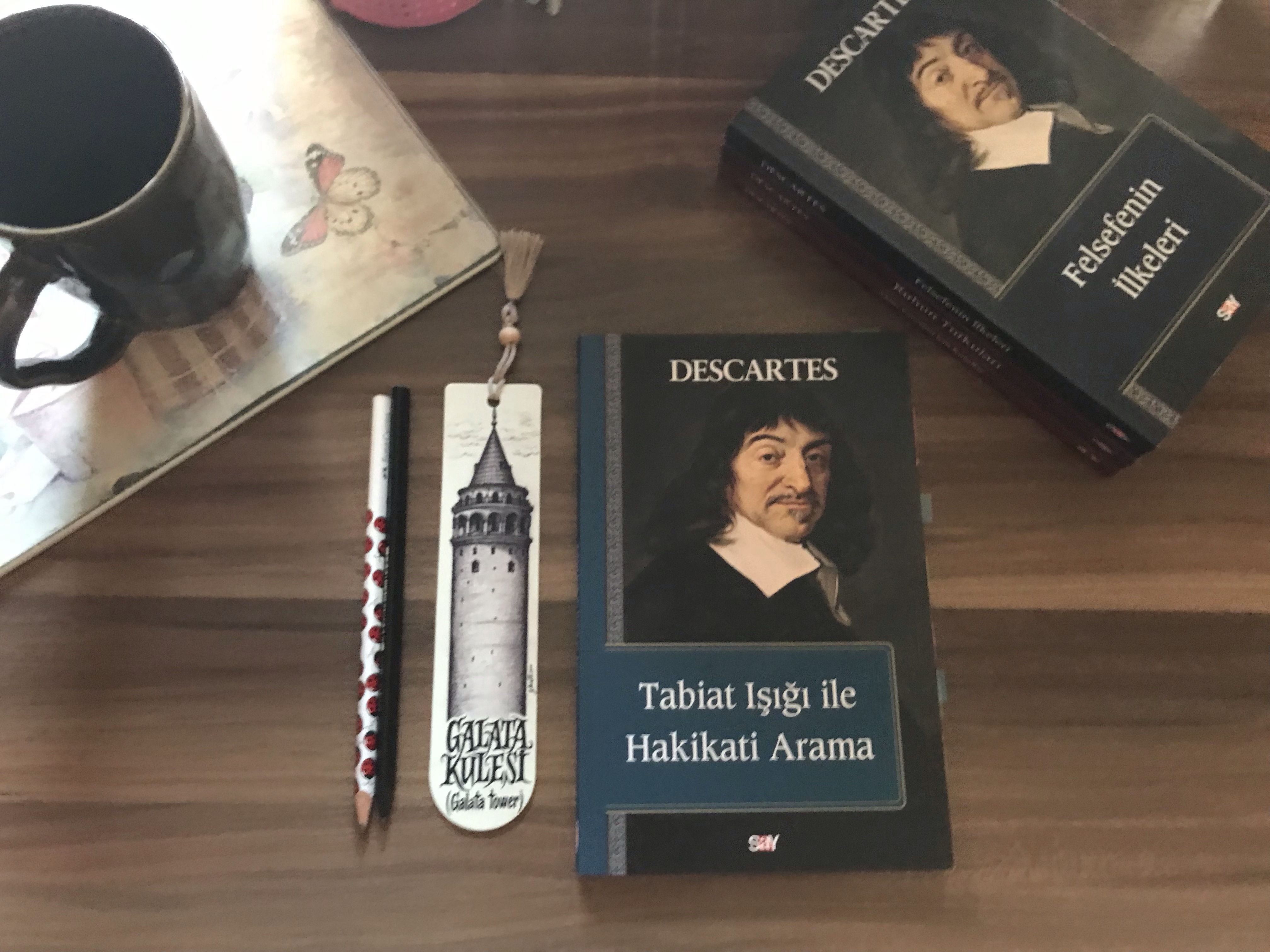 Tabiat Işığı İle Hakikati Arama,&nbsp;Descartes