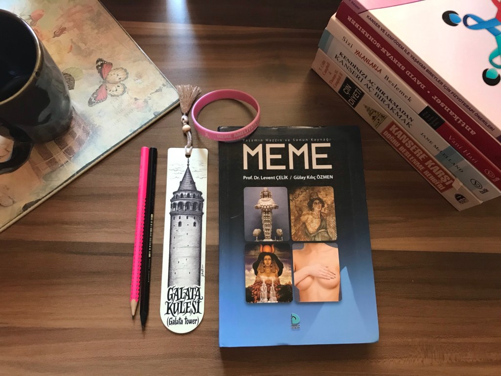 Yaşamın Hazzın Ve Sonun Kaynağı MEME, Levent Çelik, Gülay Kılıç&nbsp;Özmen
