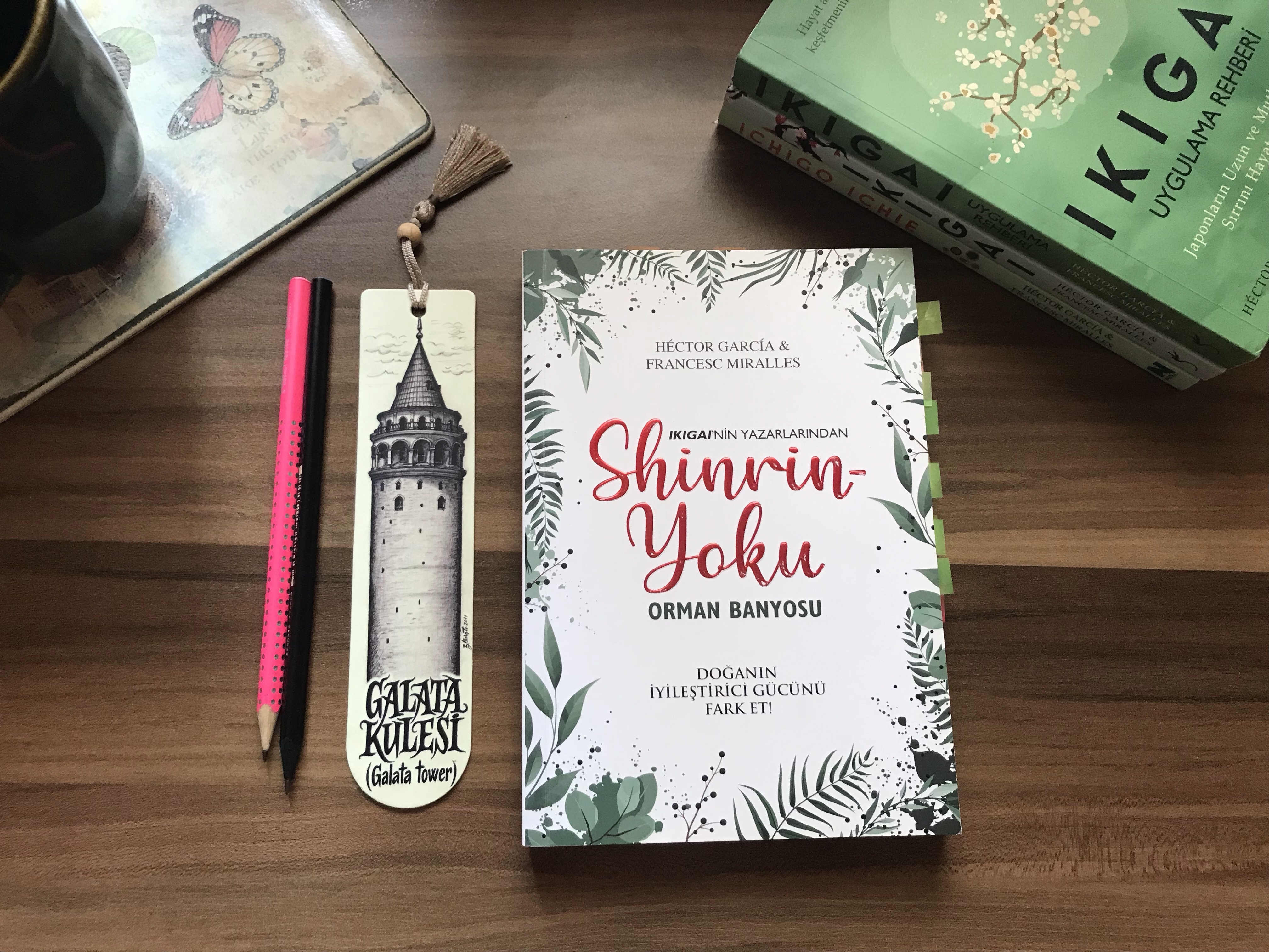 Shinrin-Yoku “Orman Banyosu” Hector Garcia&Francesc Miralles