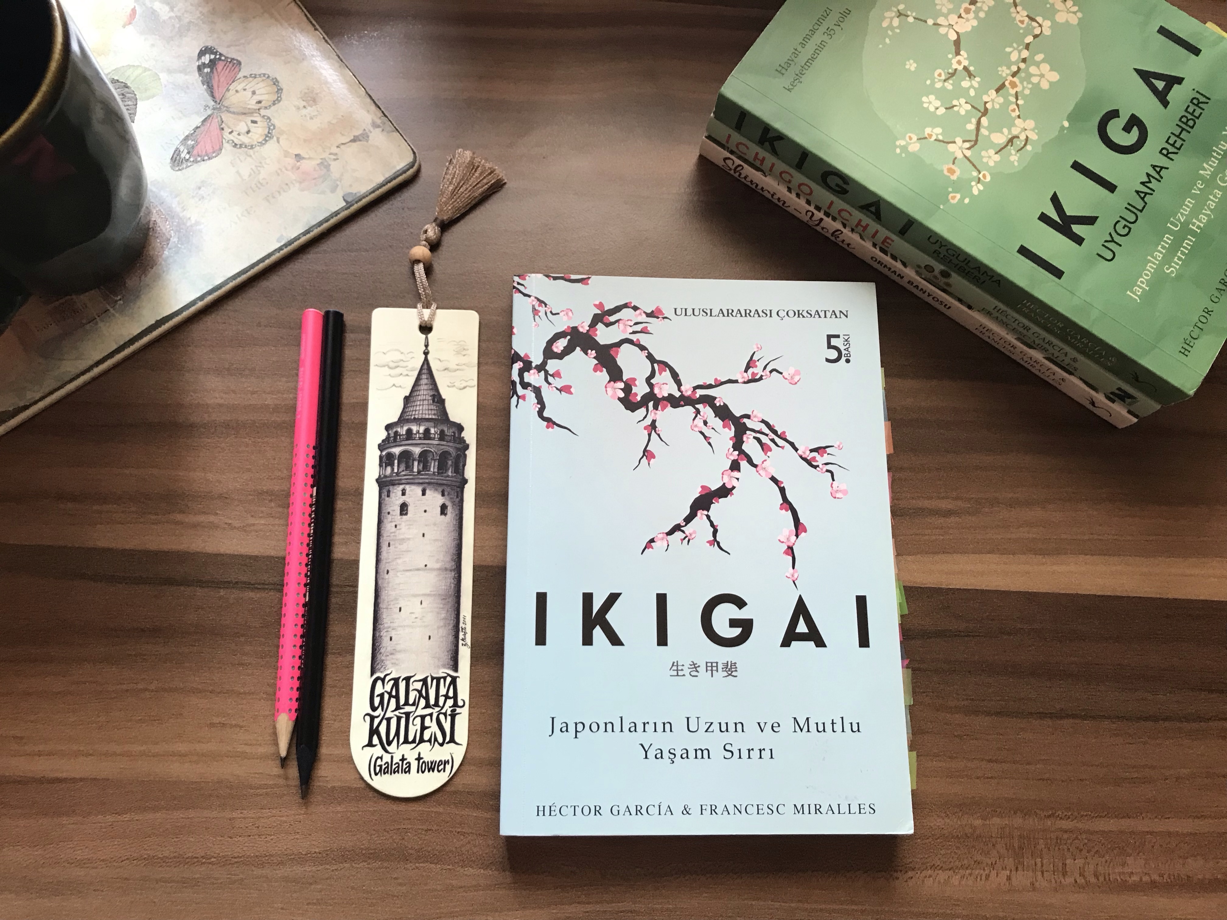 Ikigai: Japonların Uzun ve Mutlu Yaşama Sırrı, Ikigai: Uygulama Rehberi, Hector Garcia, Francesc&nbsp;Miralles