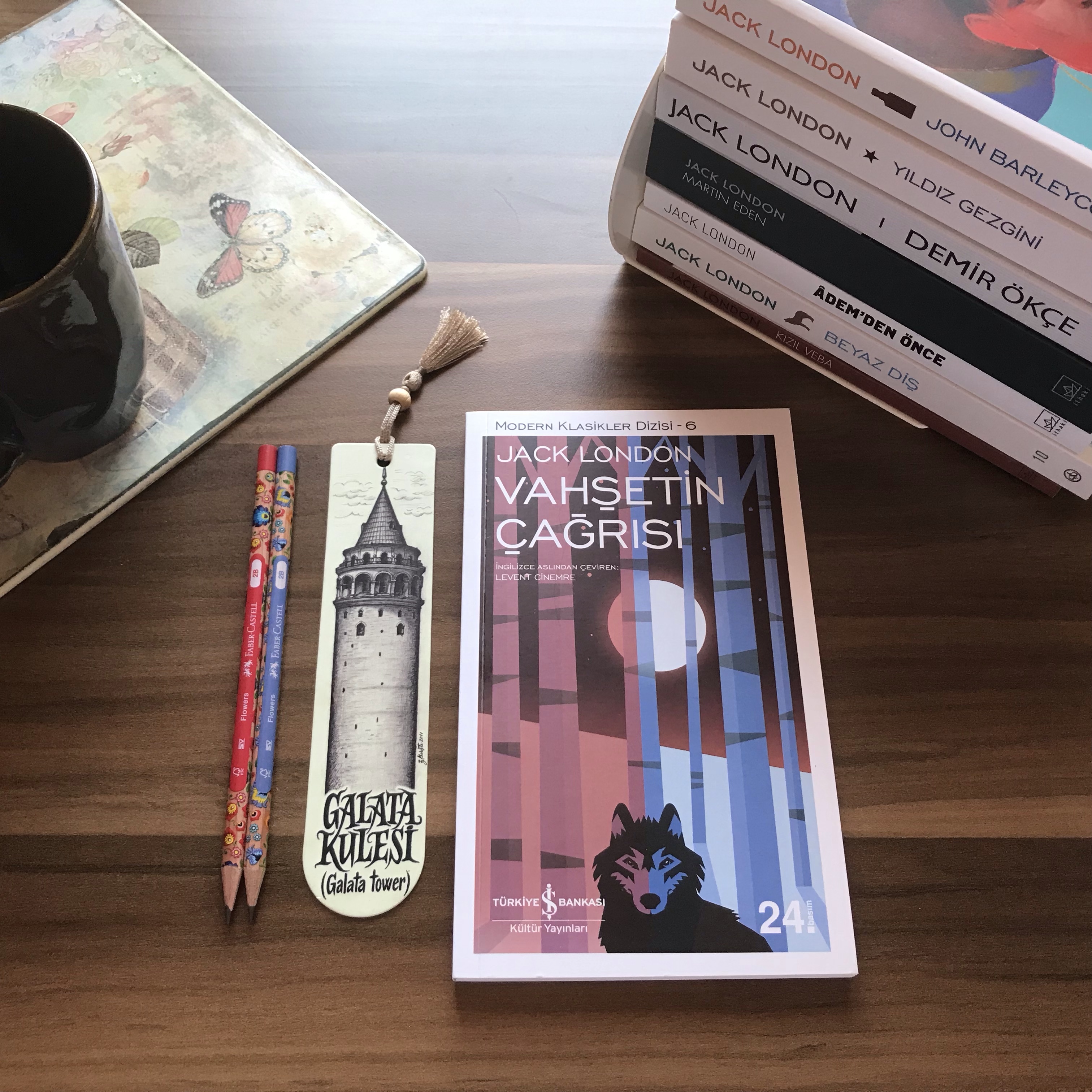 Vahşetin Çağrısı, Martin Eden, Demir Ökçe, Jack London