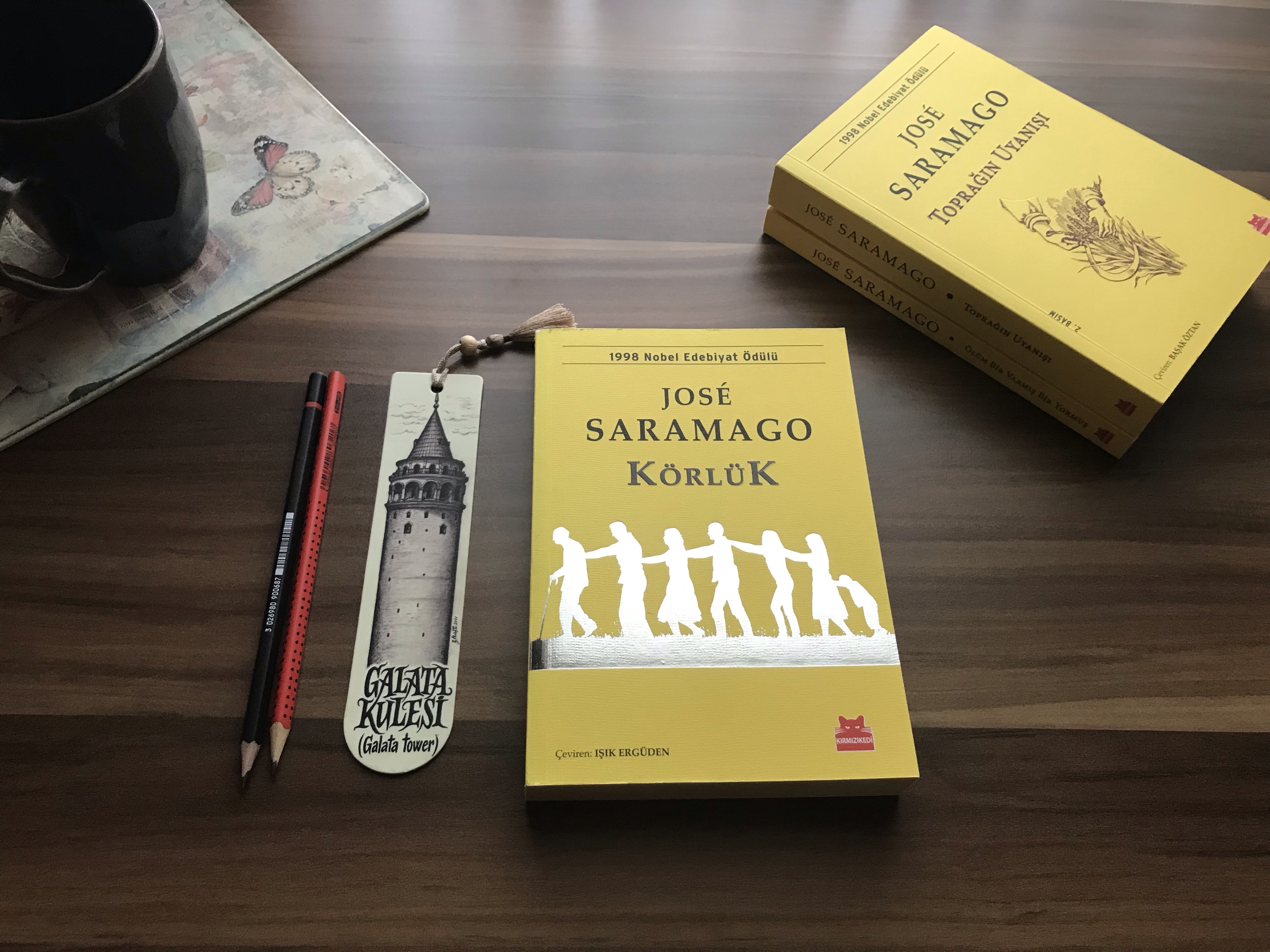 Körlük, Jose Saramago