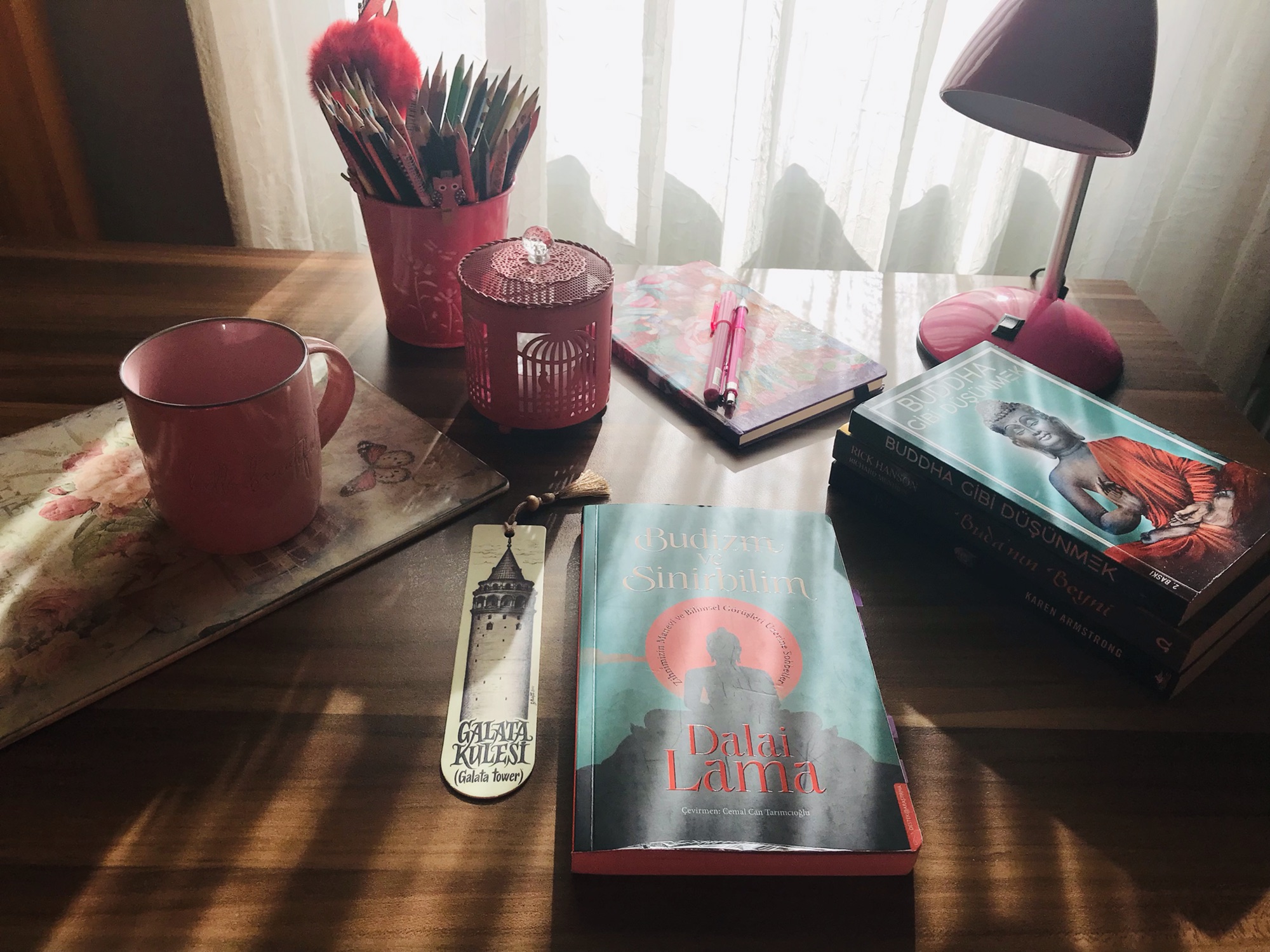 Budizm ve Sinirbilim, Dalai&nbsp;Lama