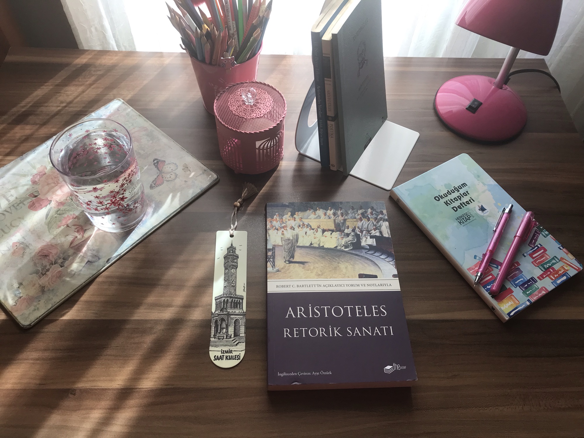 Aristoteles Retorik Sanatı, Robert C.&nbsp;Bartlett