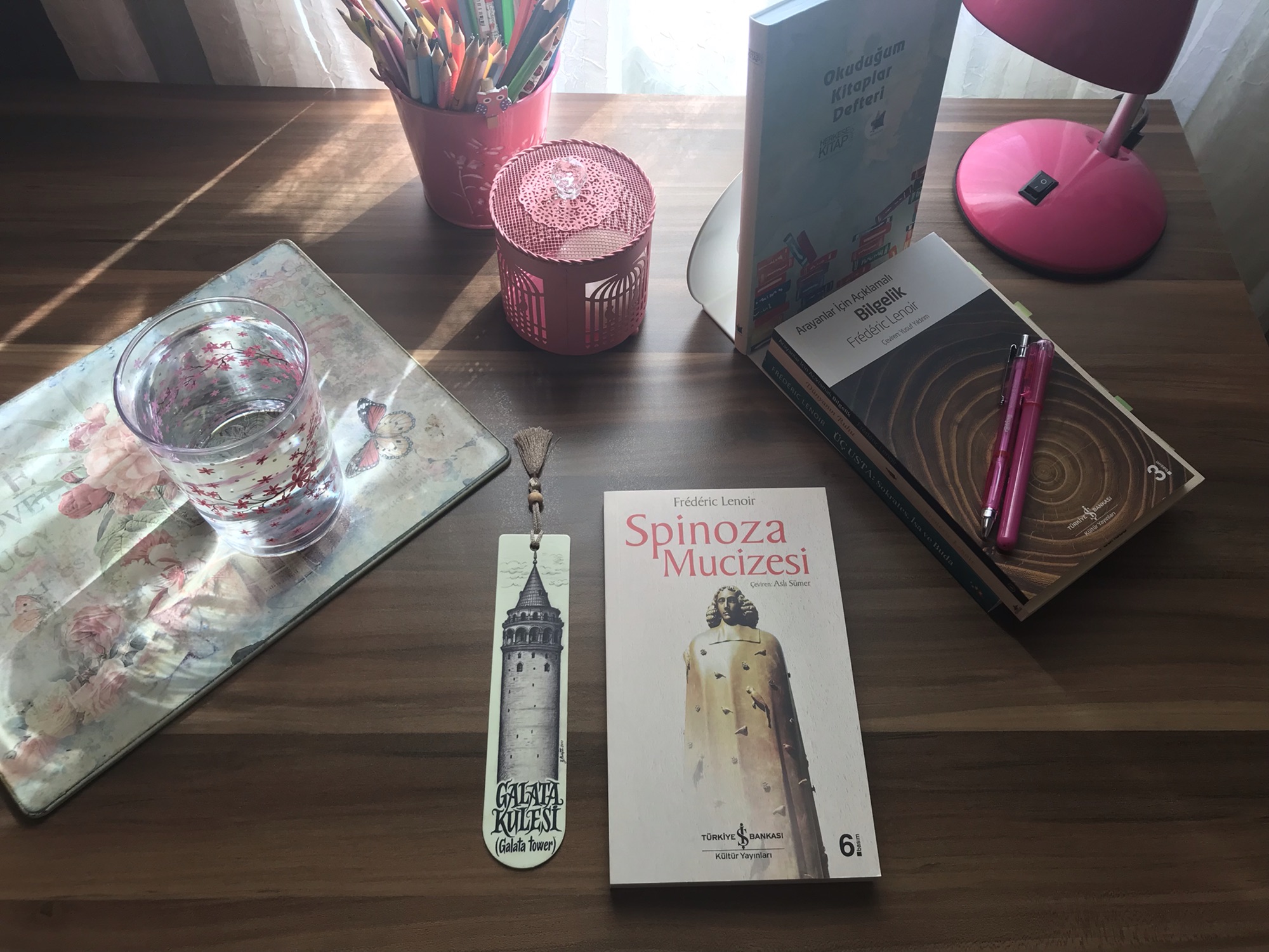 Spinoza Mucizesi, Frederic&nbsp;Lenoir