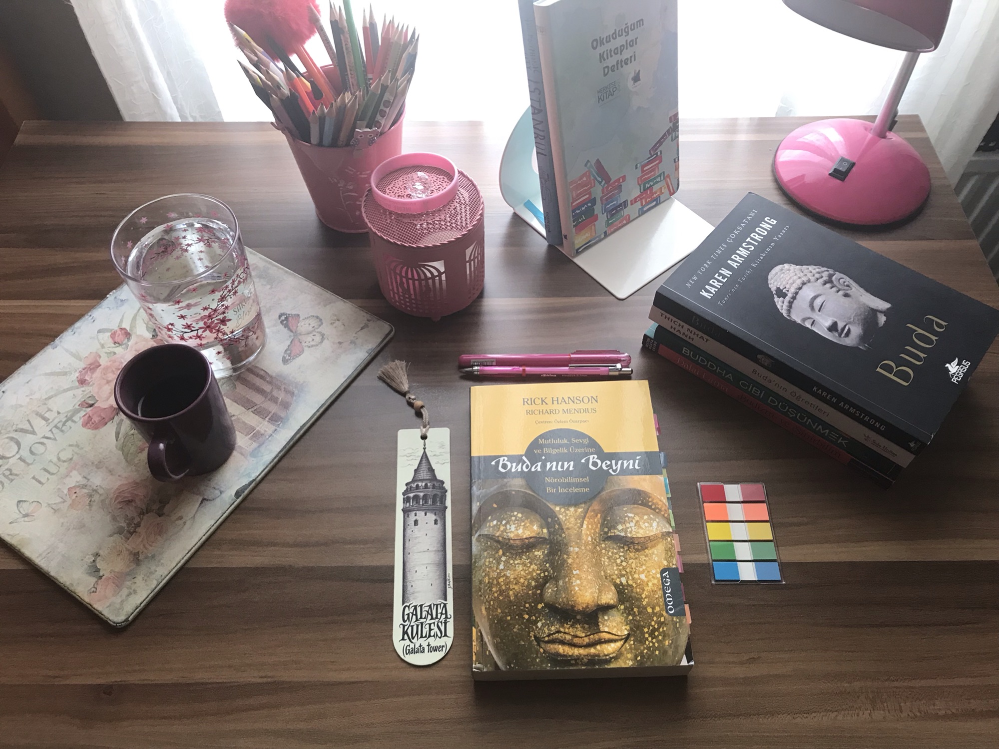 Buda’nın Beyni, Rick&nbsp;Hanson