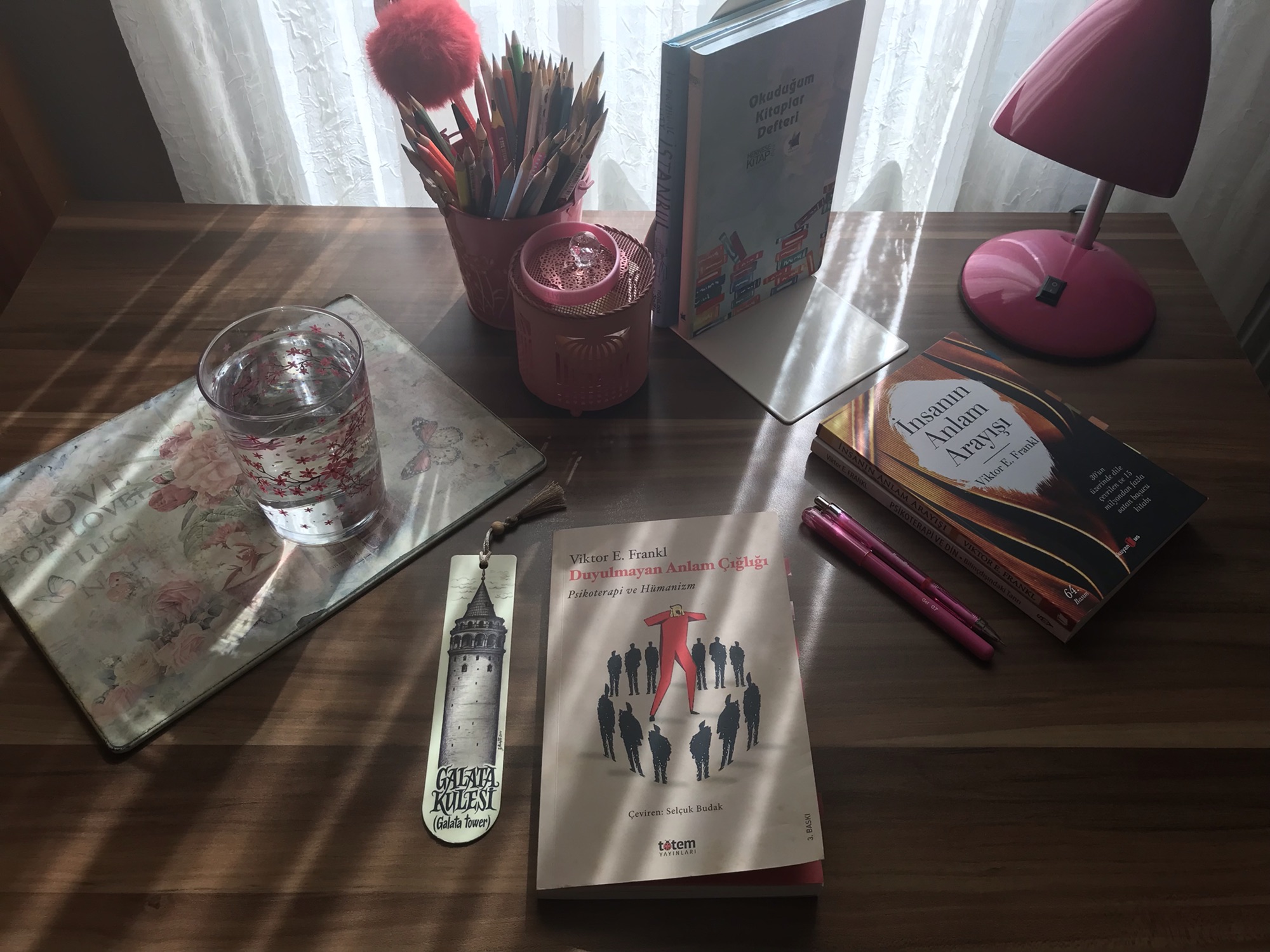 Duyulmayan Anlam Çığlığı, Viktor E.&nbsp;Frankl