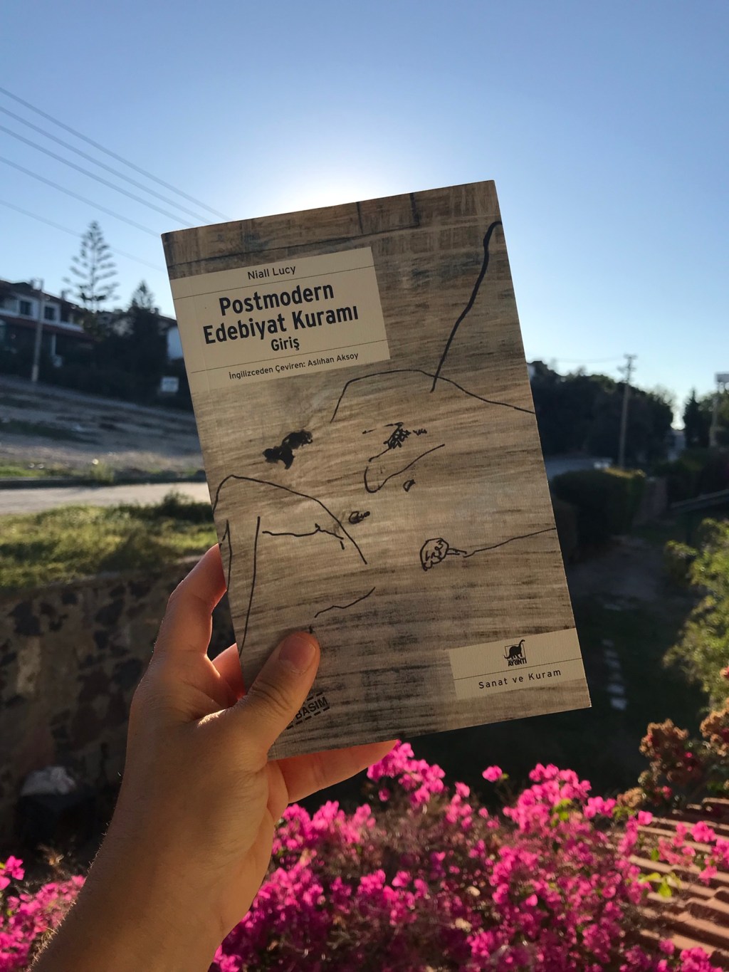 Postmodern Edebiyat Kuramı, Niall&nbsp;Lucy