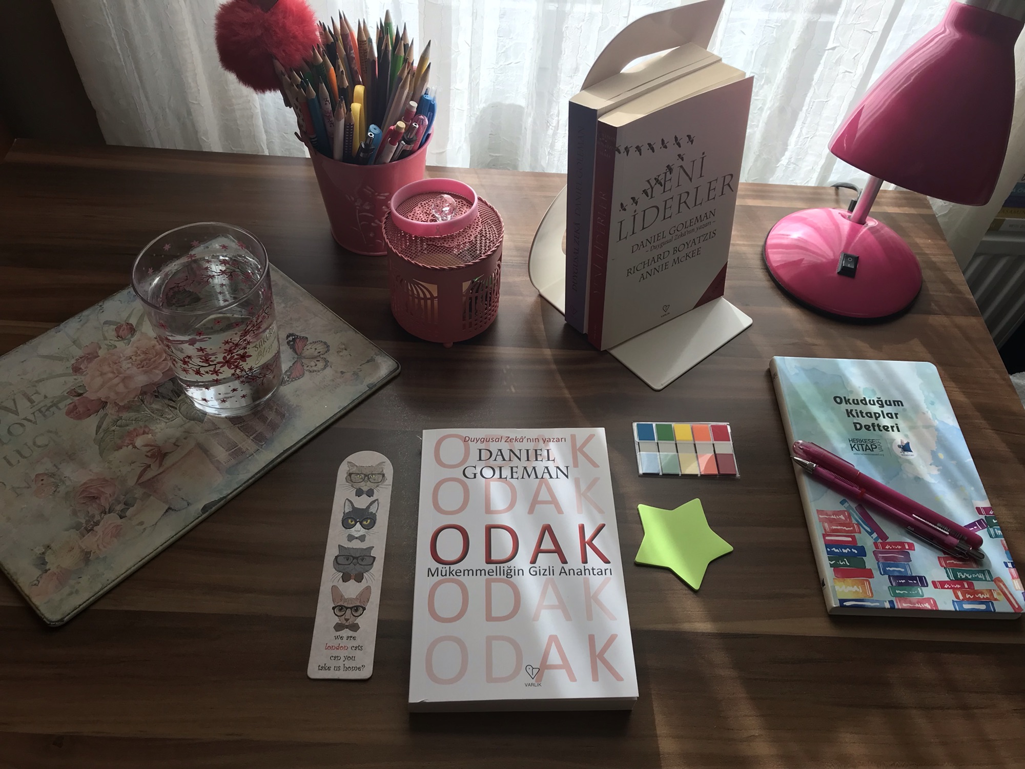 Odak, Daniel Goleman