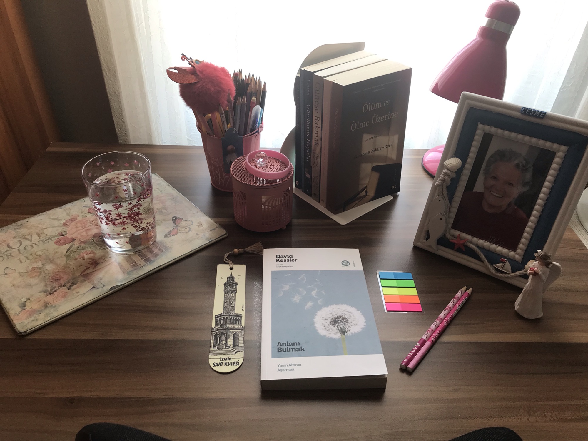 Anlam Bulmak, David Kessler