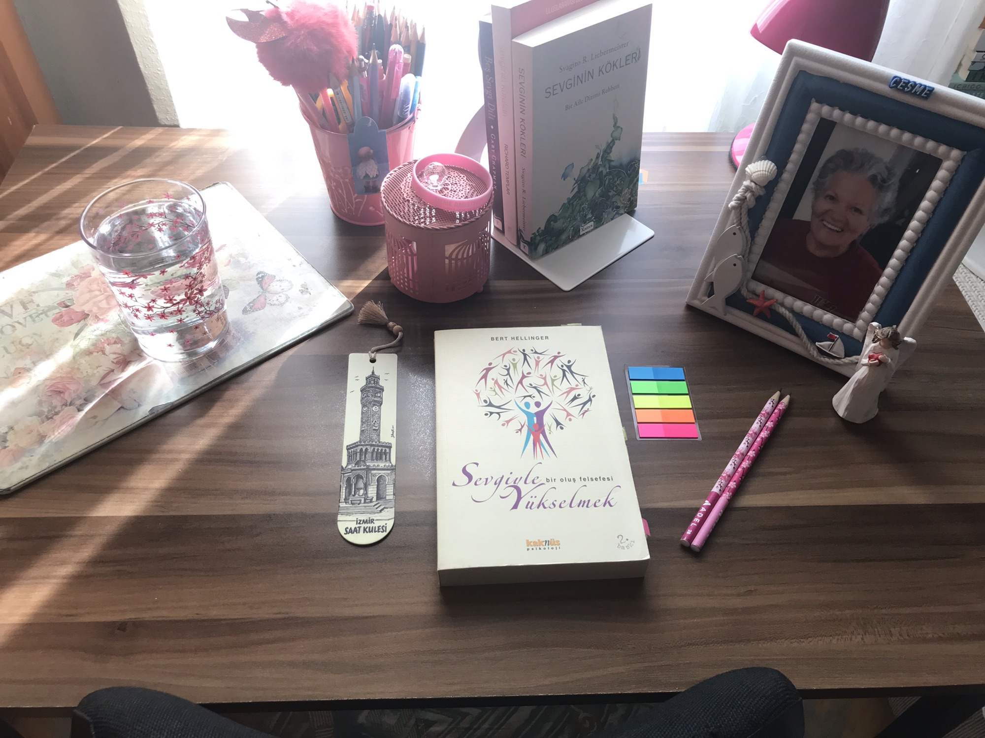 Sevgiyle Yükselmek, Bert&nbsp;Hellinger