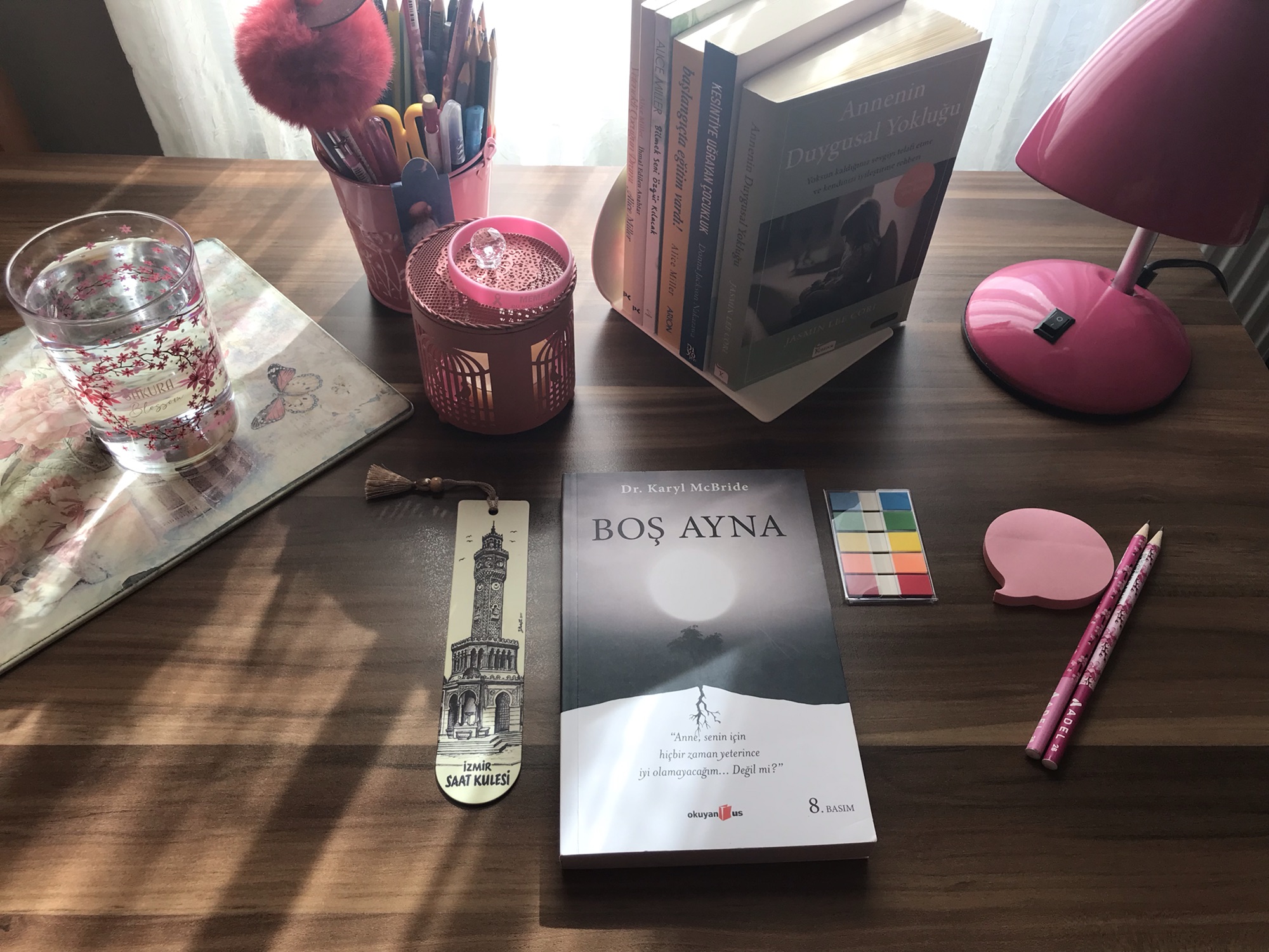 Boş Ayna, Dr. Karyl&nbsp;McBride