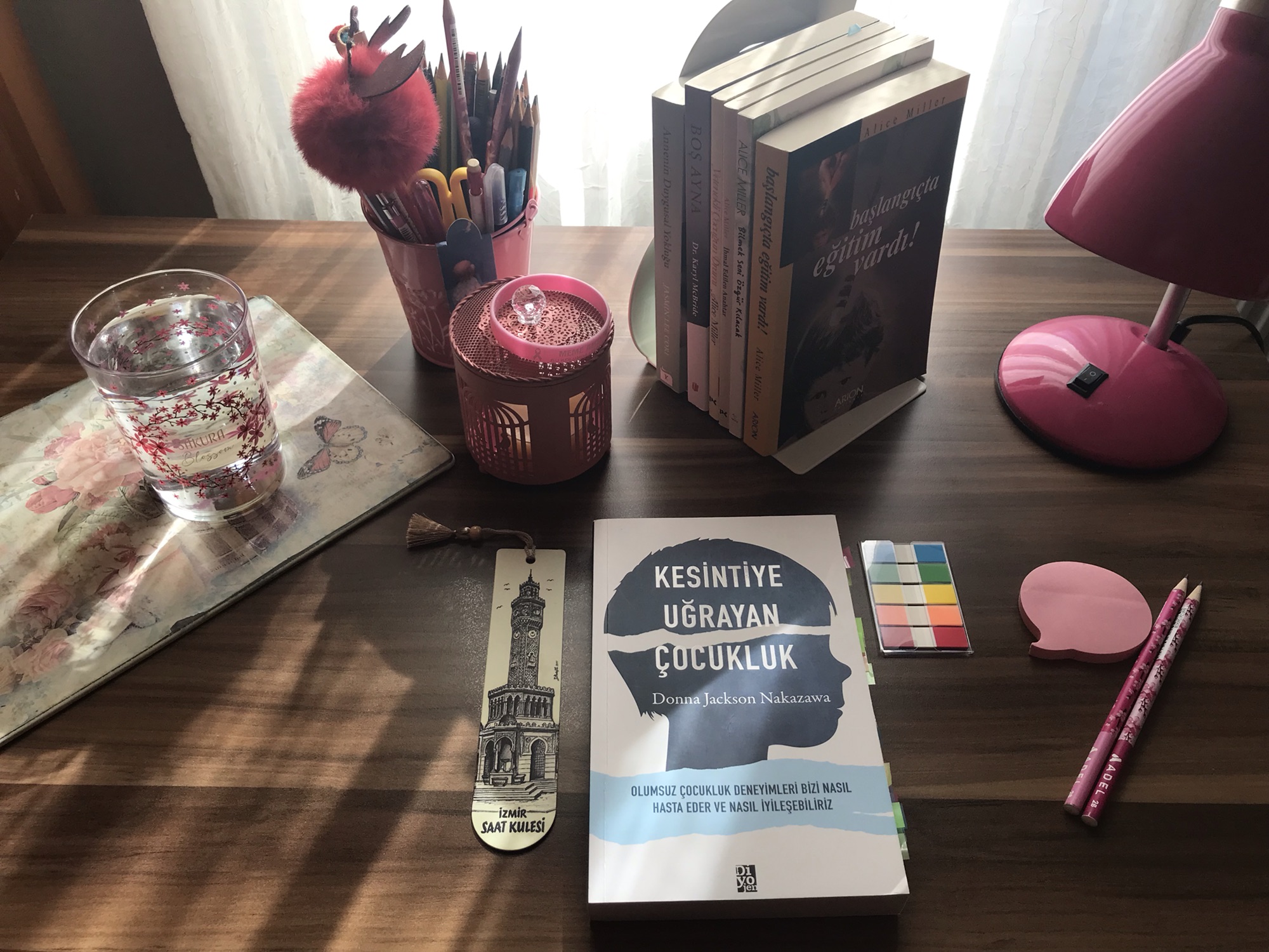 Kesintiye Uğrayan Çocukluk, Donna Jackson&nbsp;Nakazawa