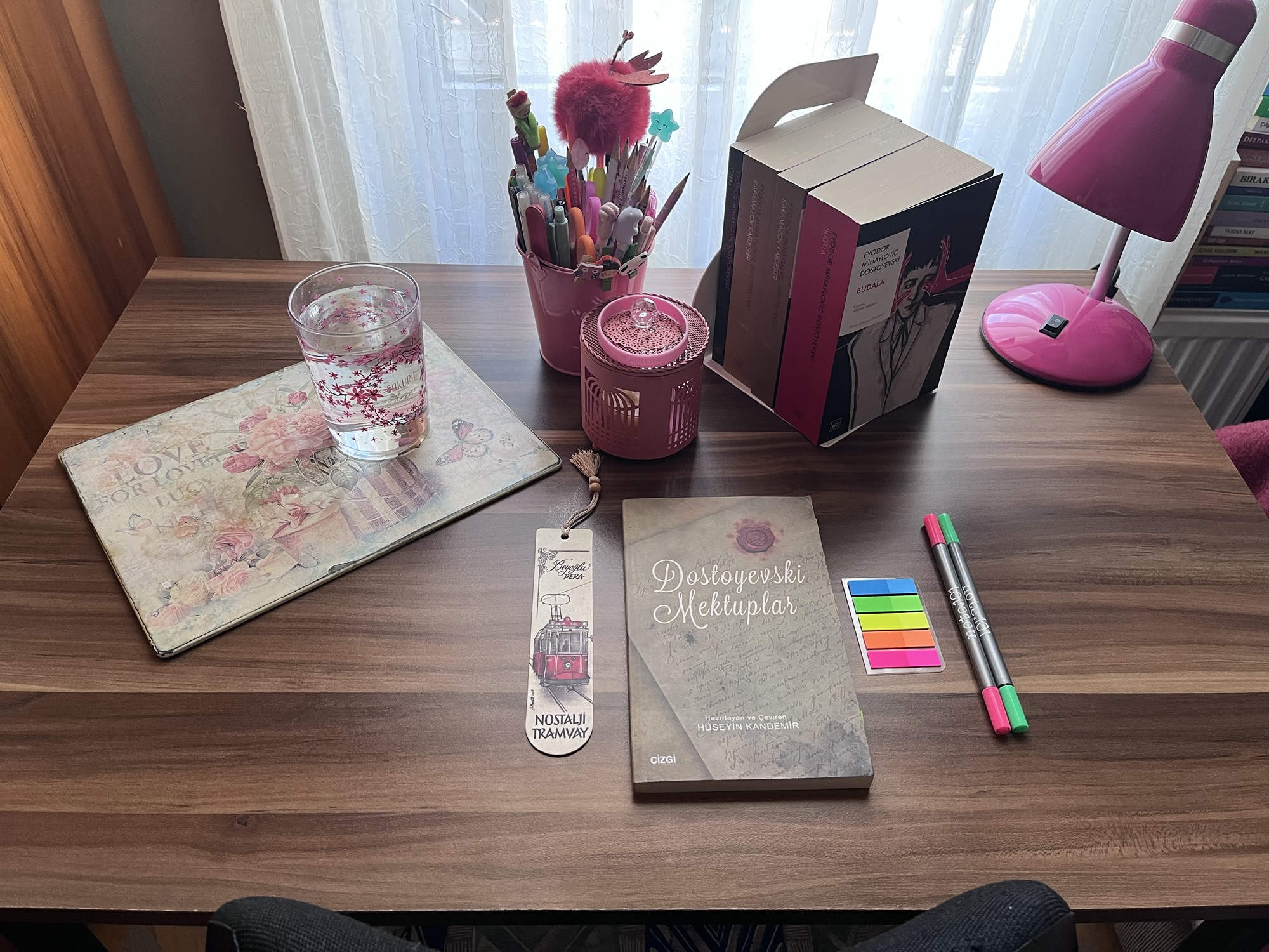 Dostoyevski Mektuplar