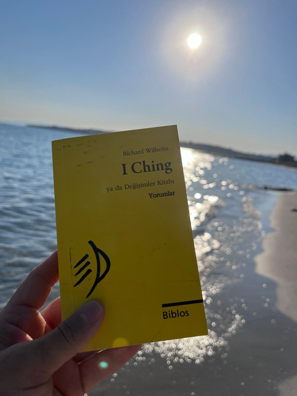 I Ching: Değişimler Kitabı, Richard Wilhelm